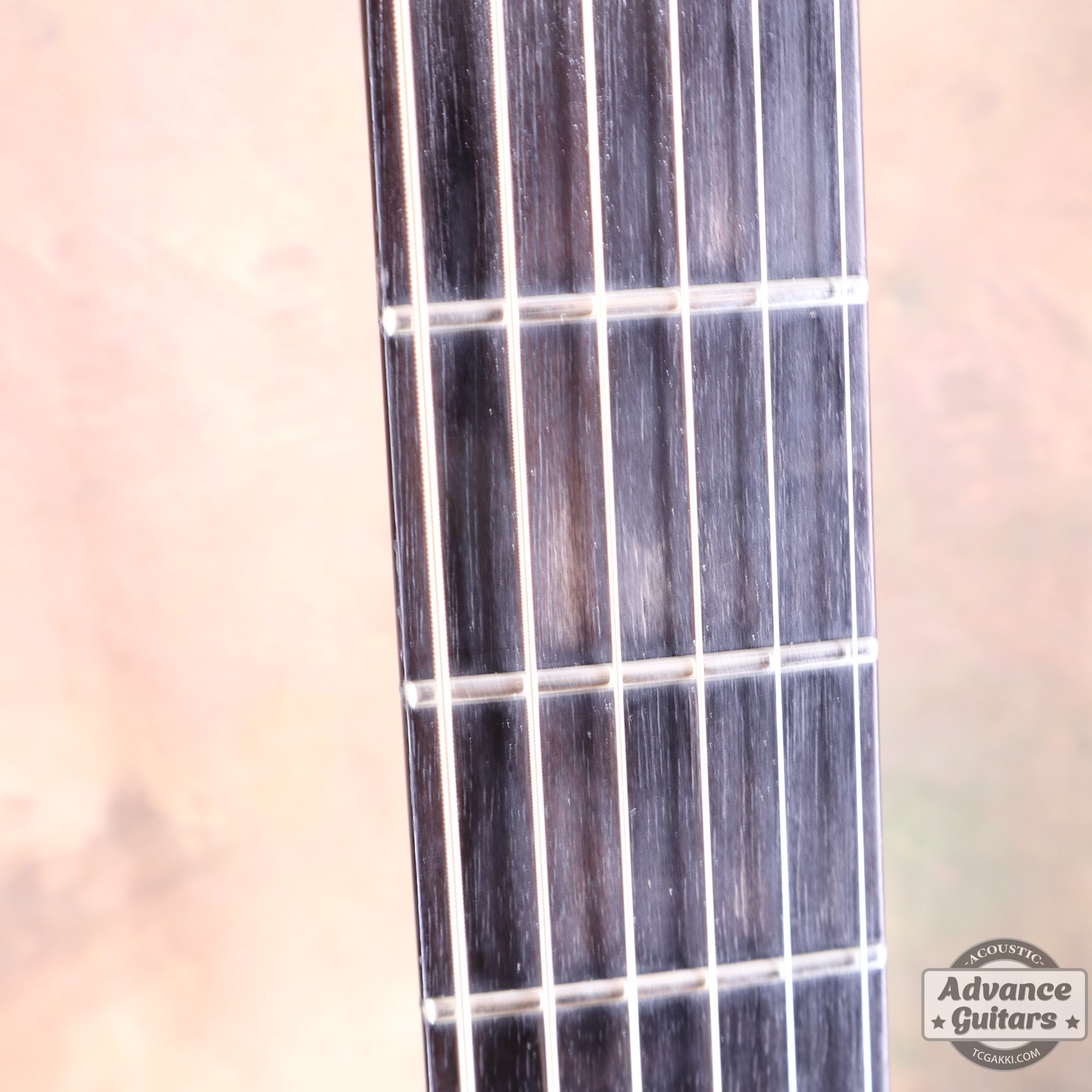 1970年製 YD - 302 - TC楽器 - TCGAKKI