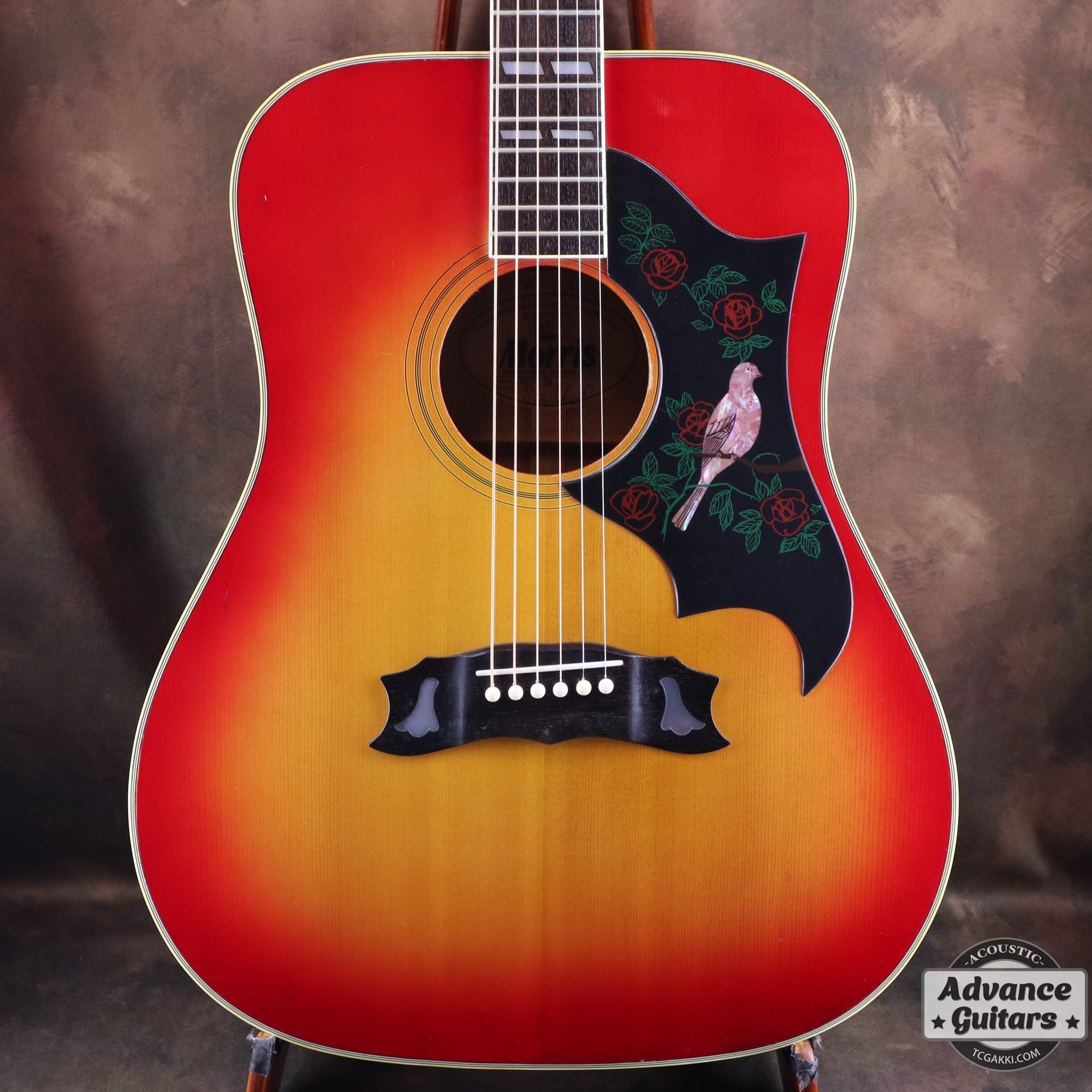 Morris WD-35 螺鈿細工　ダウ　アコースティックギター バードインレイ Morris WD-35 アコースティックギター