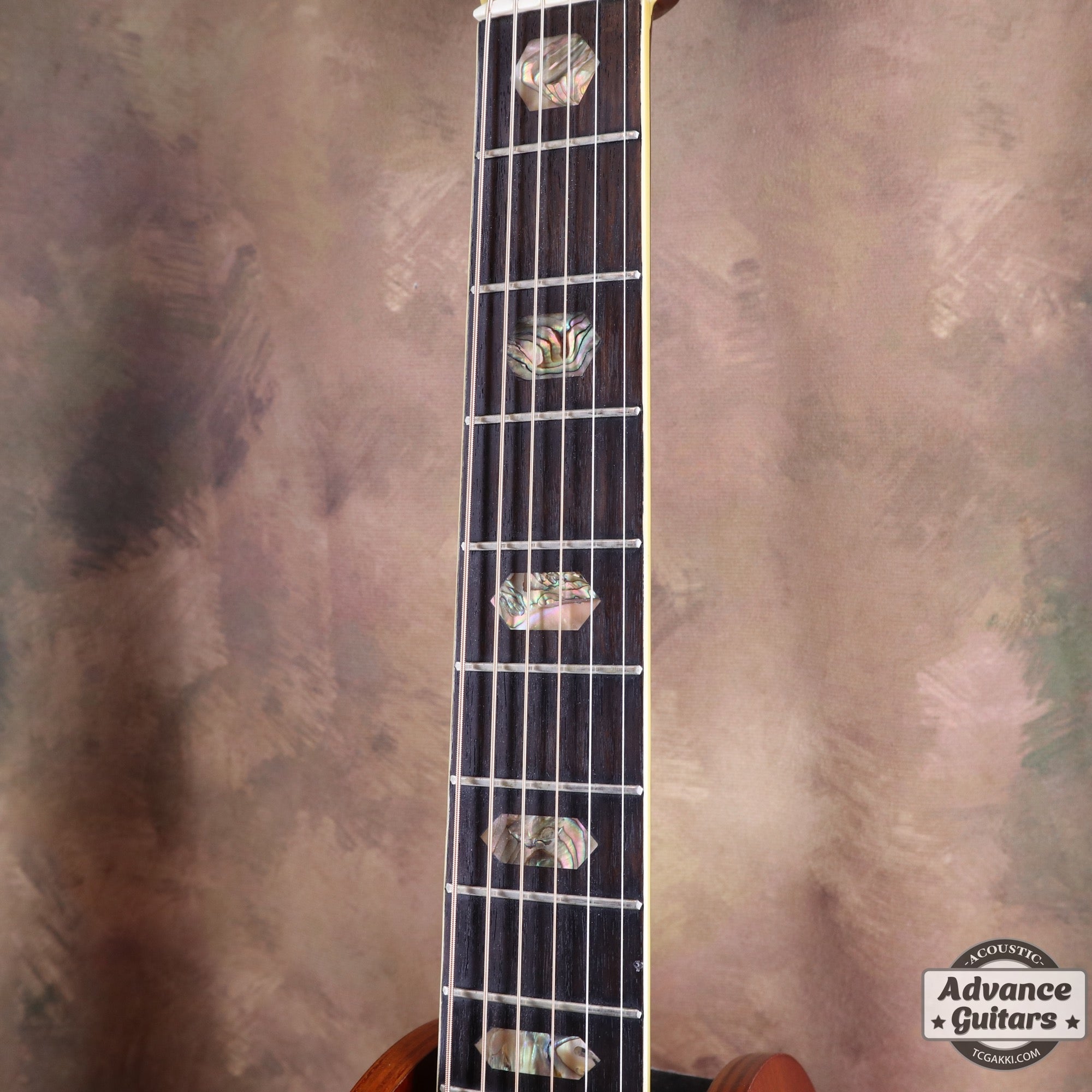 1970s F - 160 - TC楽器 - TCGAKKI