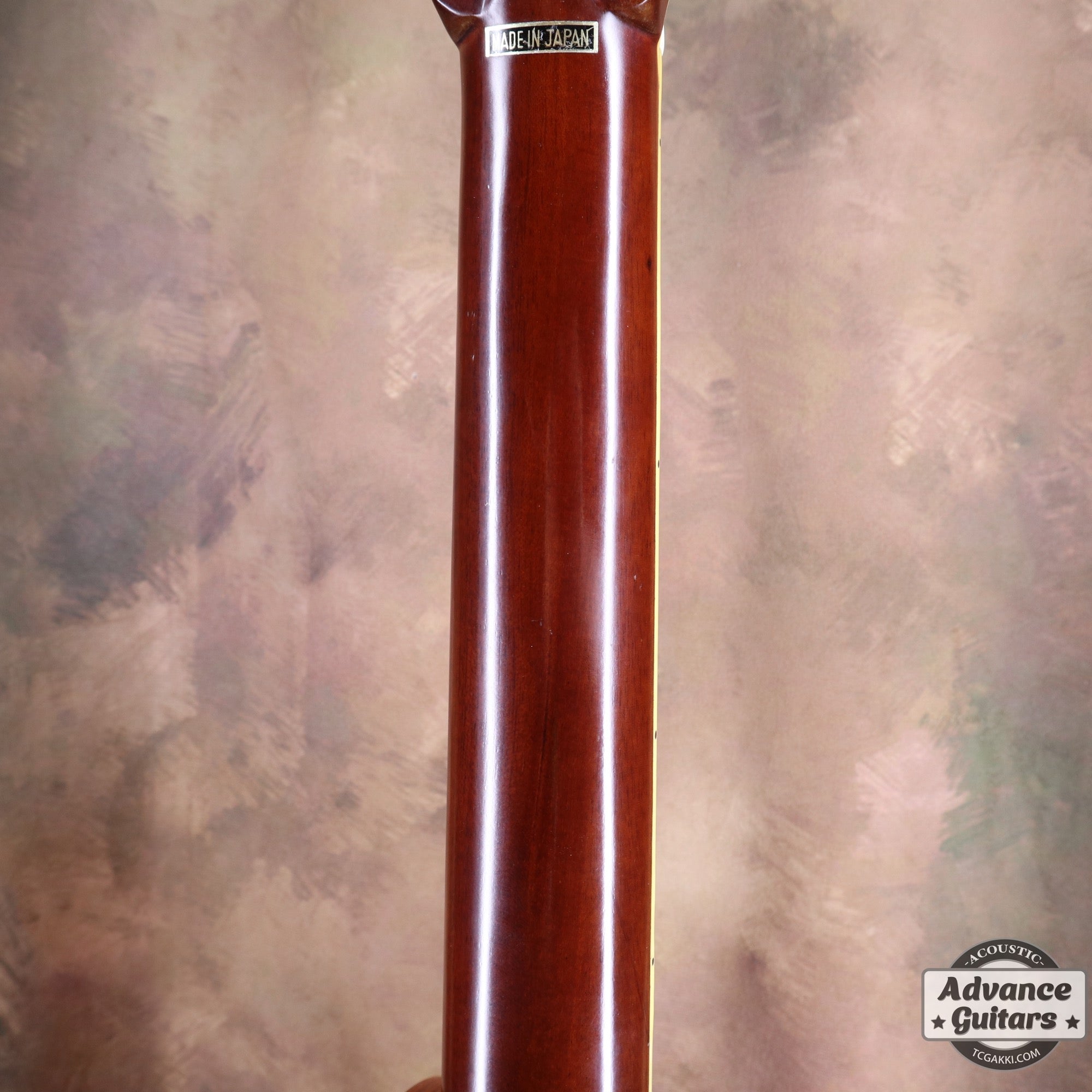 1970s F - 160 - TC楽器 - TCGAKKI