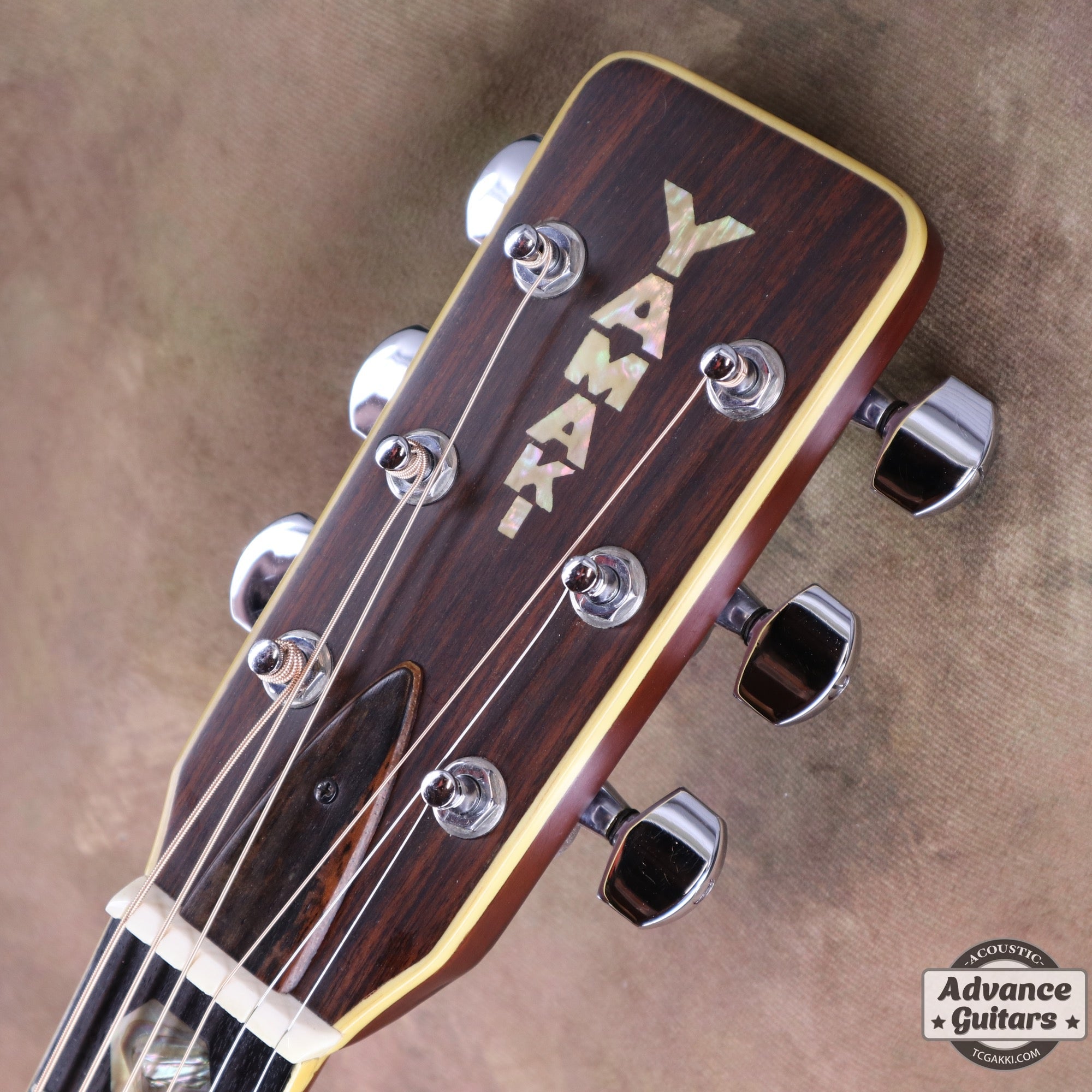 1970s F - 160 - TC楽器 - TCGAKKI