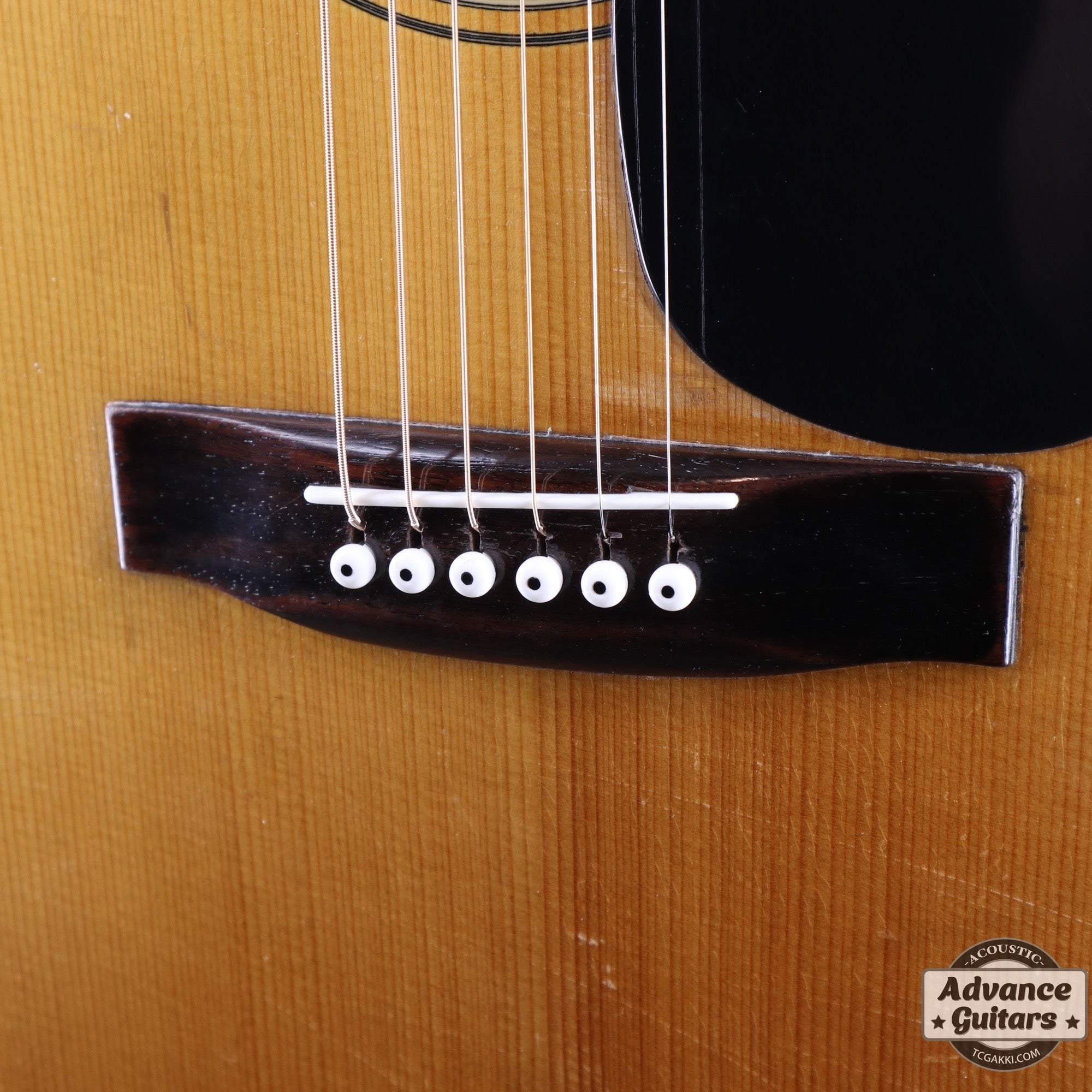 1970s YD - 304 - TC楽器 - TCGAKKI