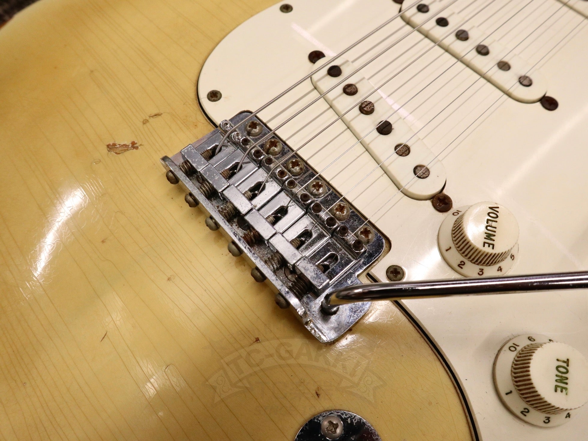 1971 Fender Stratocaster Blond / Maple - TC楽器 - TCGAKKI