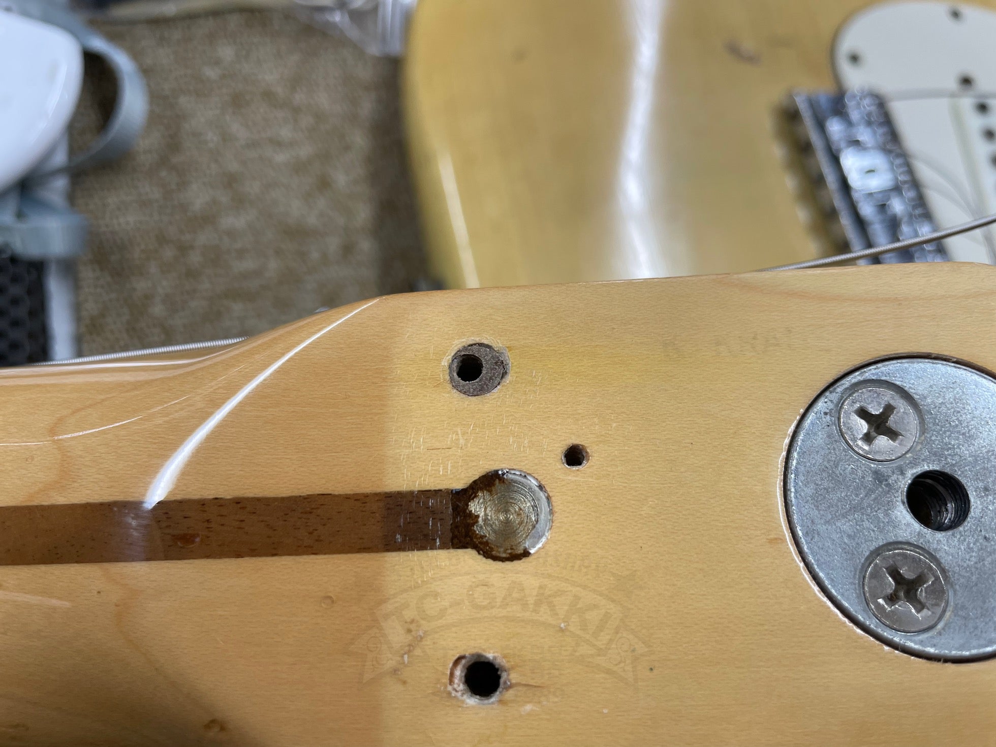 1971 Stratocaster Blond / Maple - TC楽器 - TCGAKKI