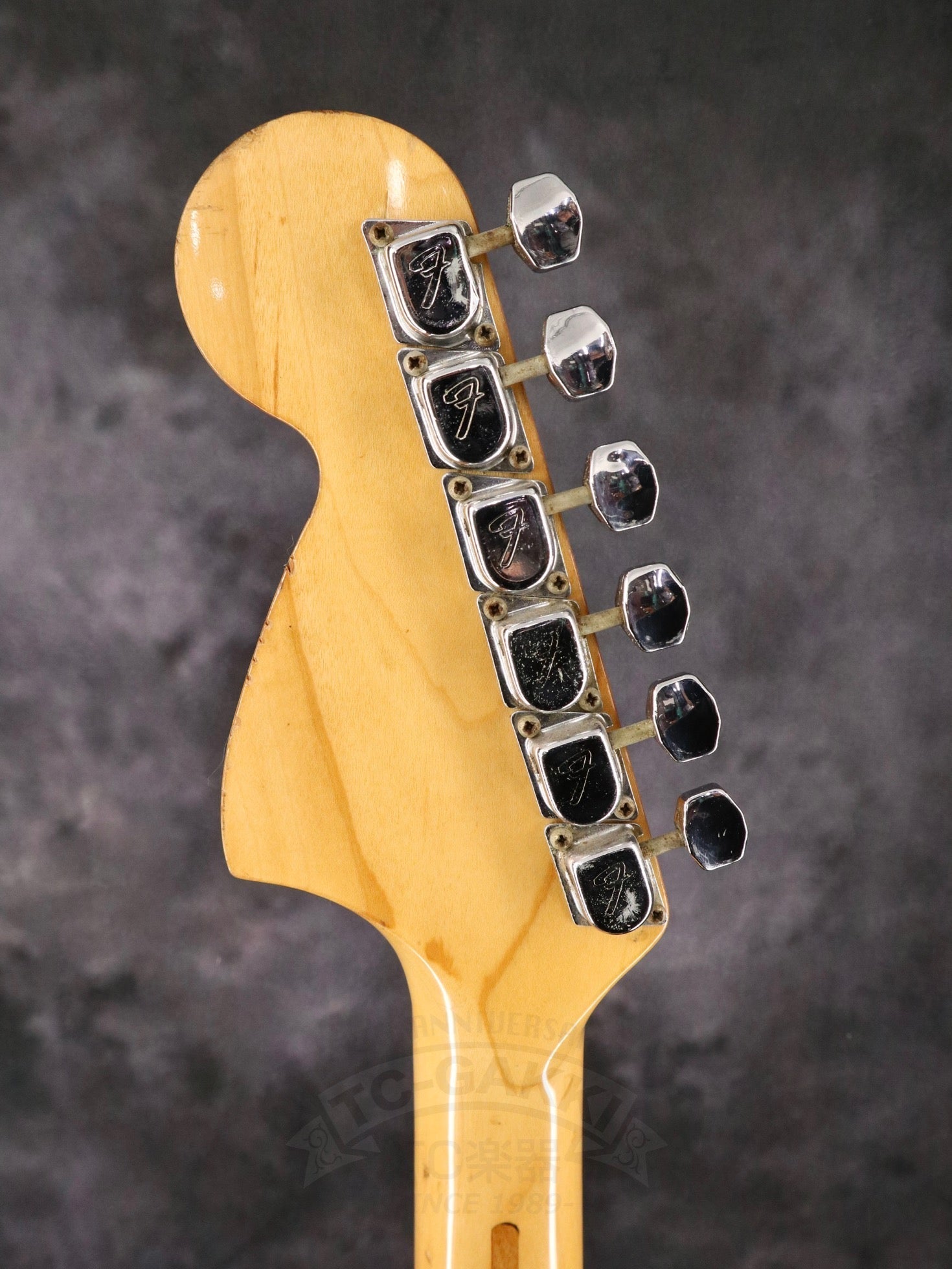 1971 Fender Stratocaster Blond / Maple - TC楽器 - TCGAKKI