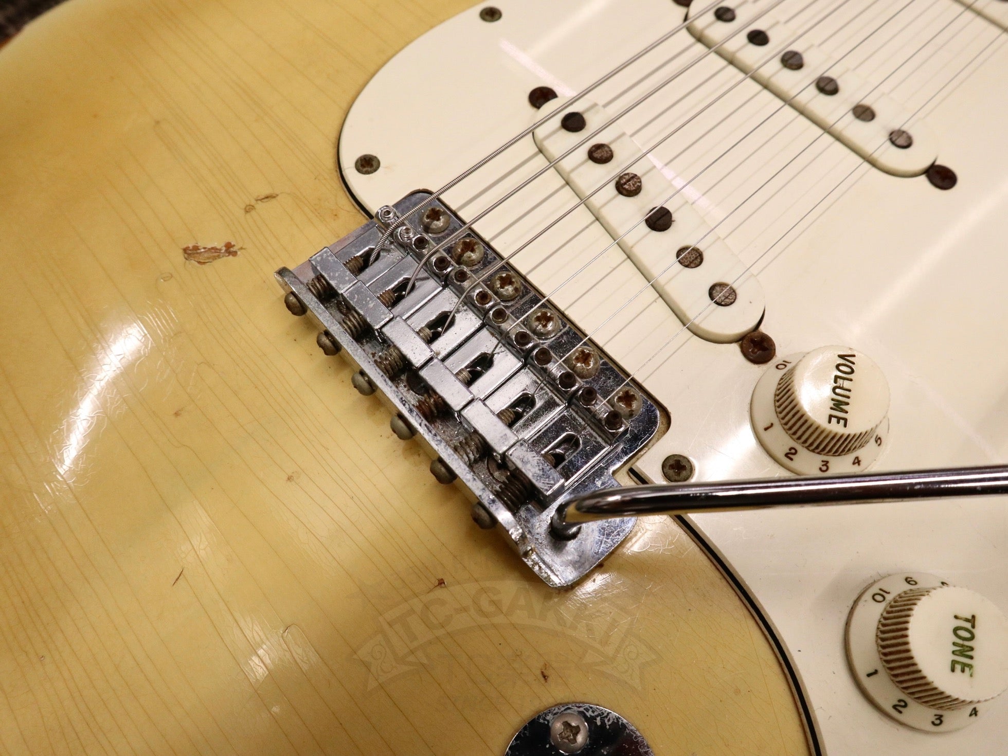 1971 Stratocaster Blond / Maple - TC楽器 - TCGAKKI