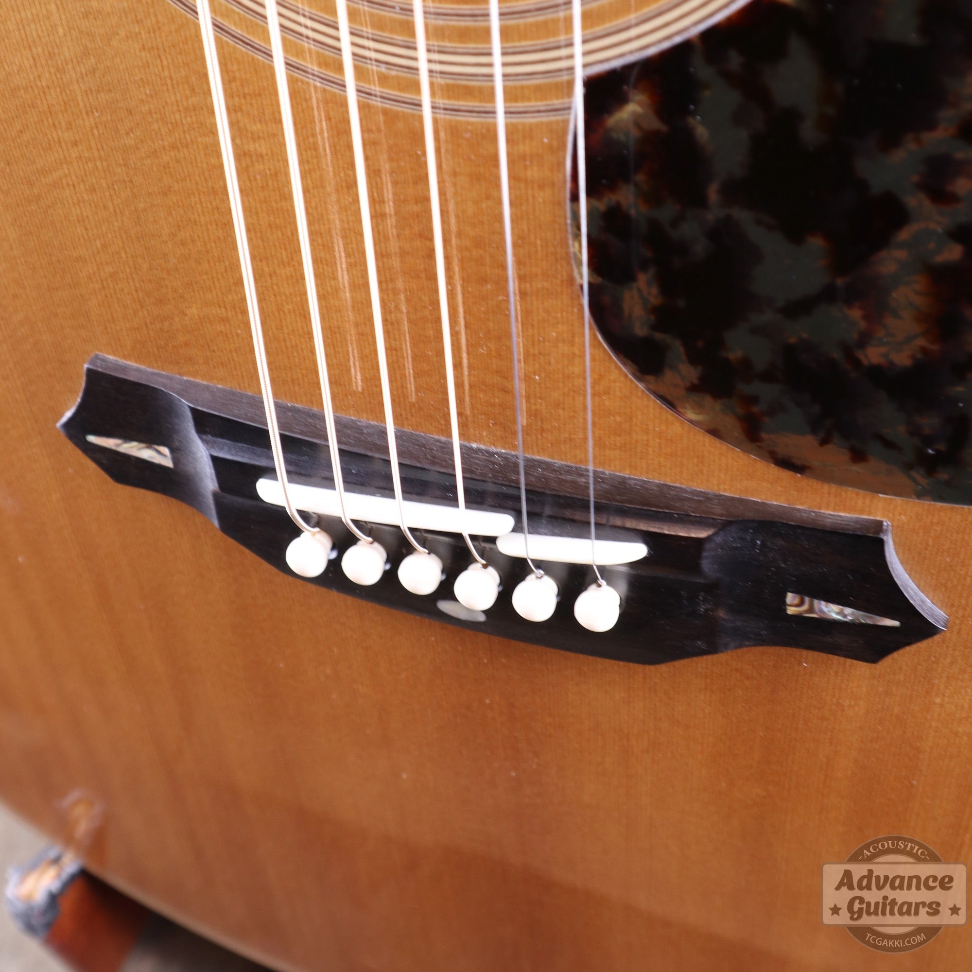 1971年製 TT1 - TC楽器 - TCGAKKI