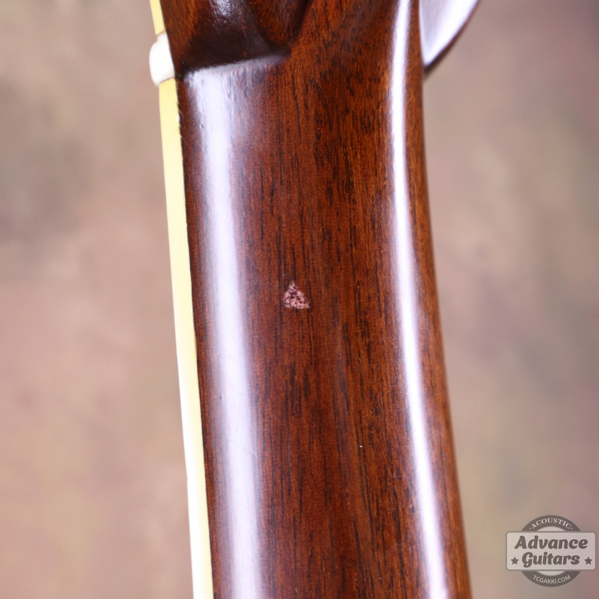 1972年製 D - 41 - TC楽器 - TCGAKKI