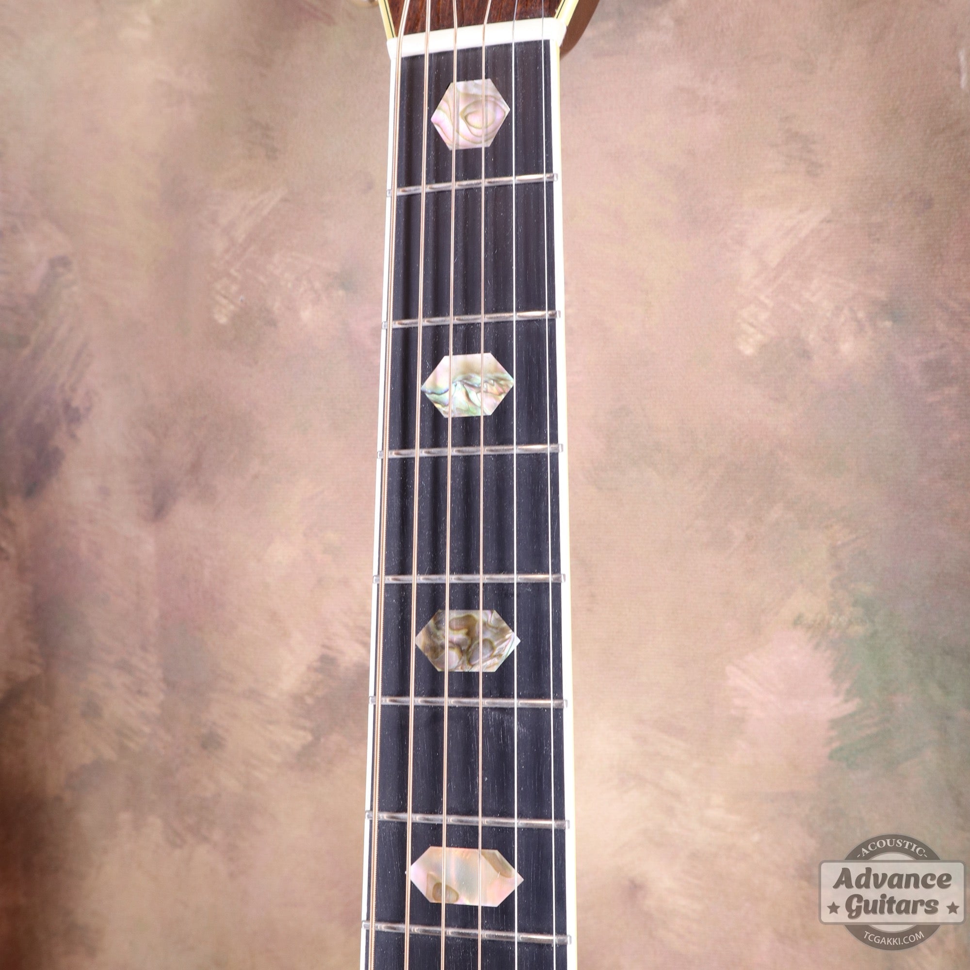 1973年製 D - 45 - TC楽器 - TCGAKKI