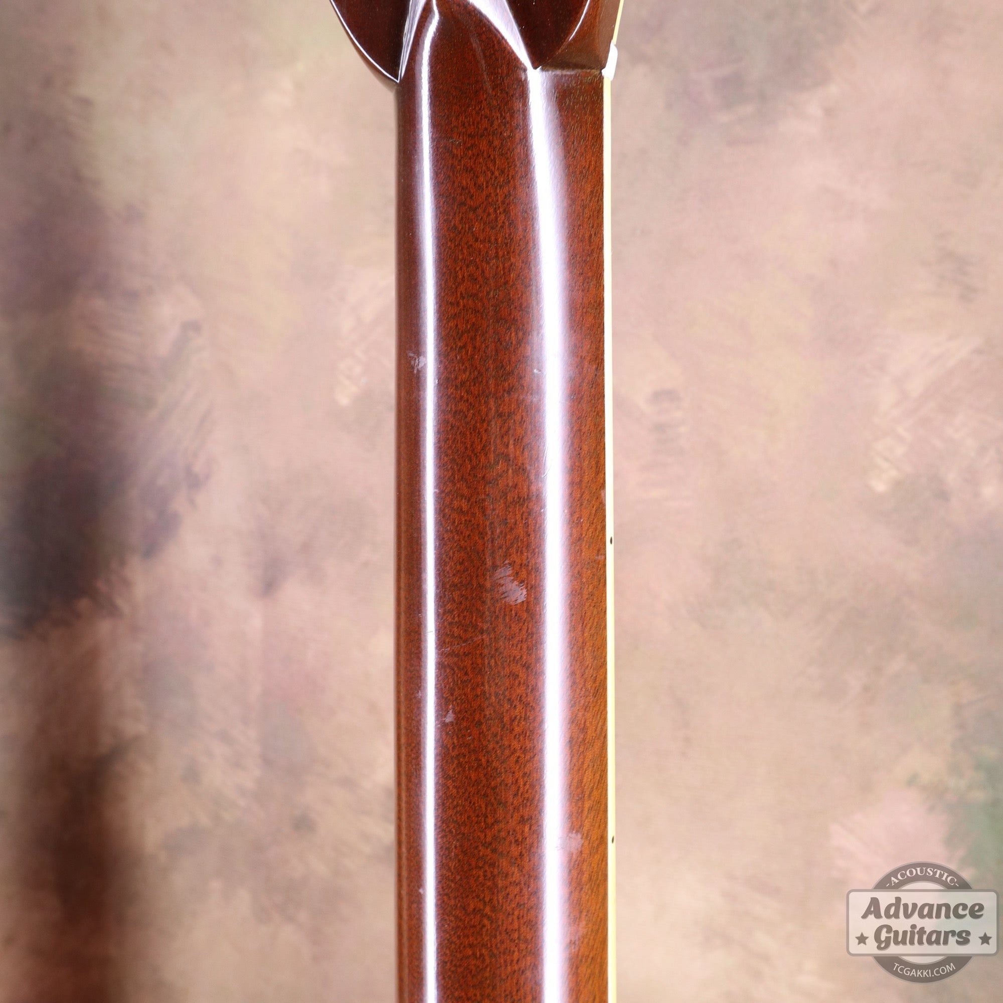 1973年製 D - 45 - TC楽器 - TCGAKKI