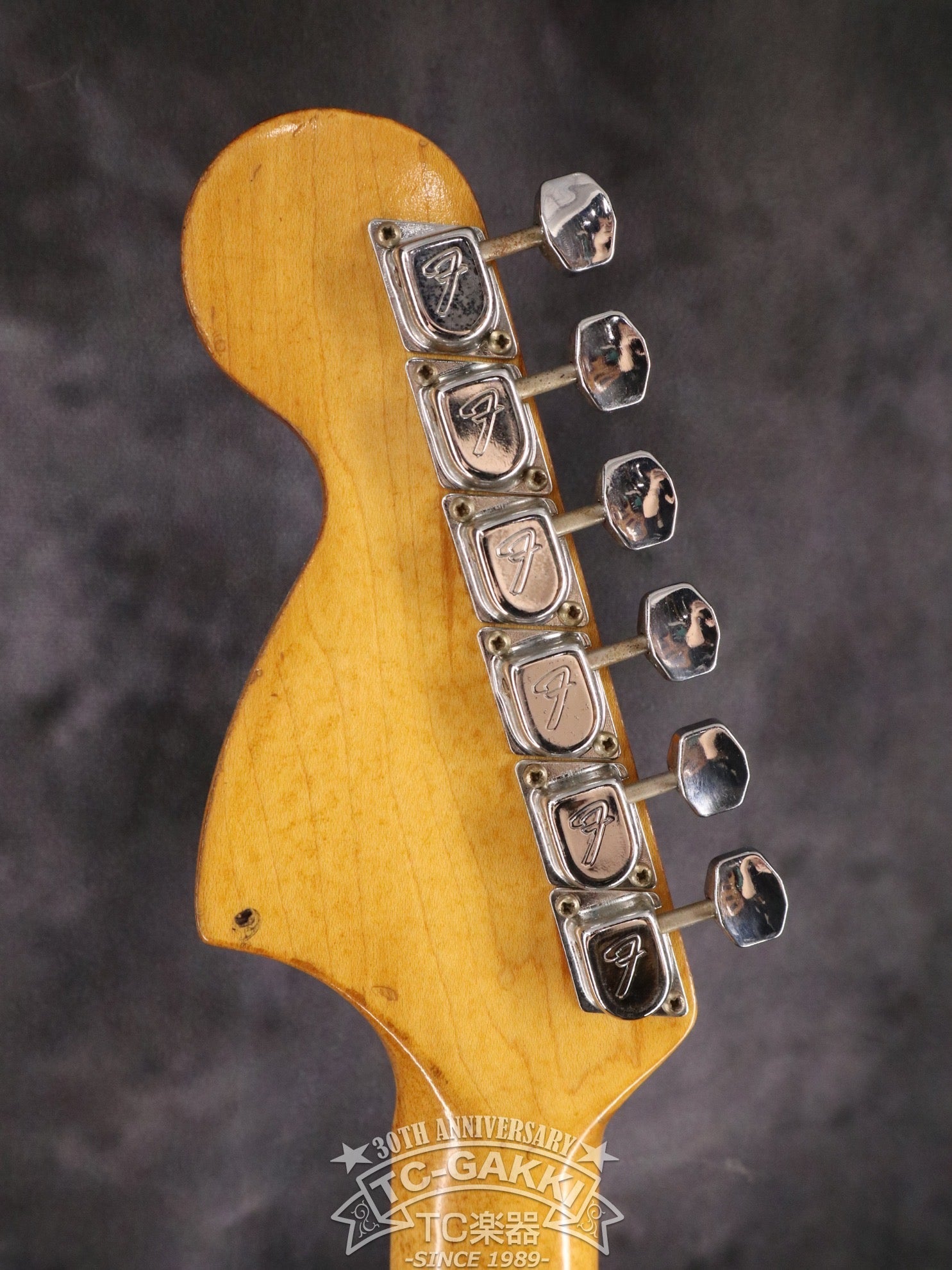 1974 Stratocaster - TC楽器 - TCGAKKI