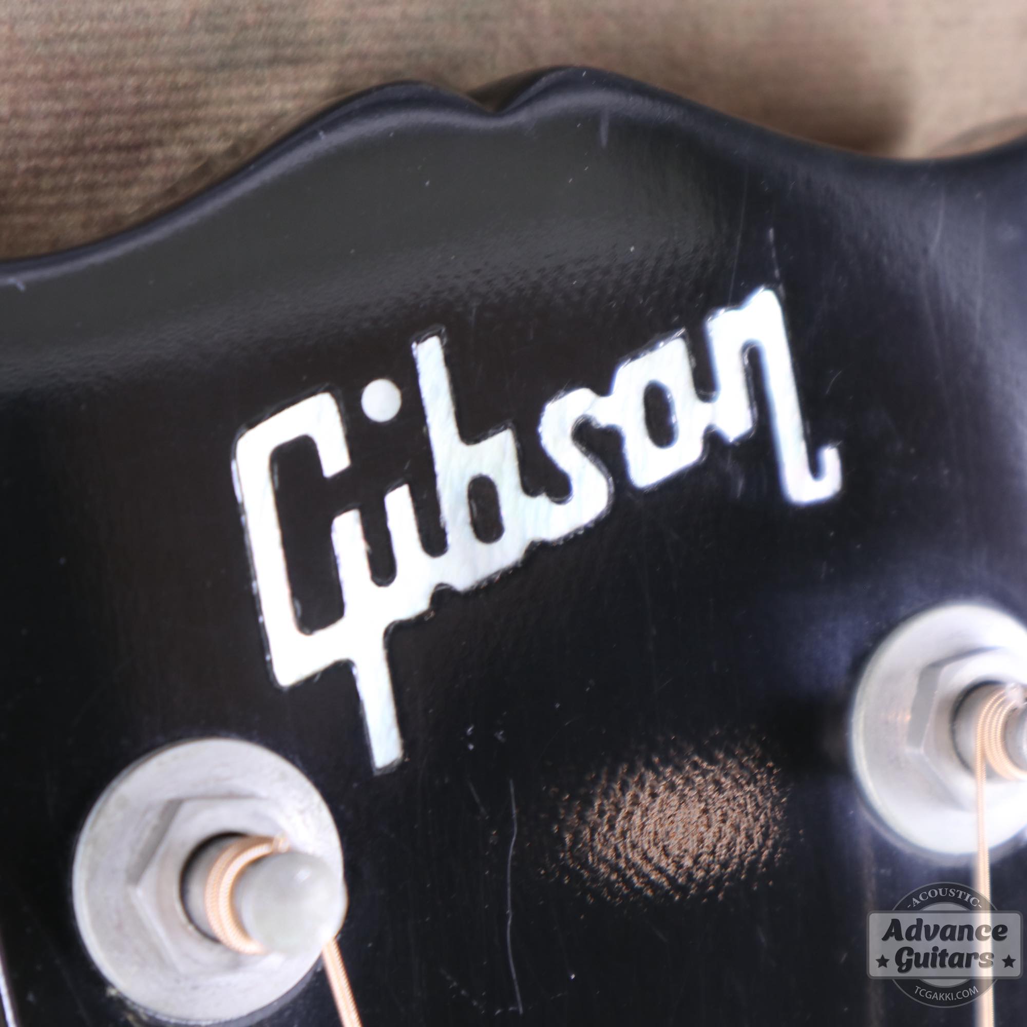 1974~1975年製 Dove Black - TC楽器 - TCGAKKI