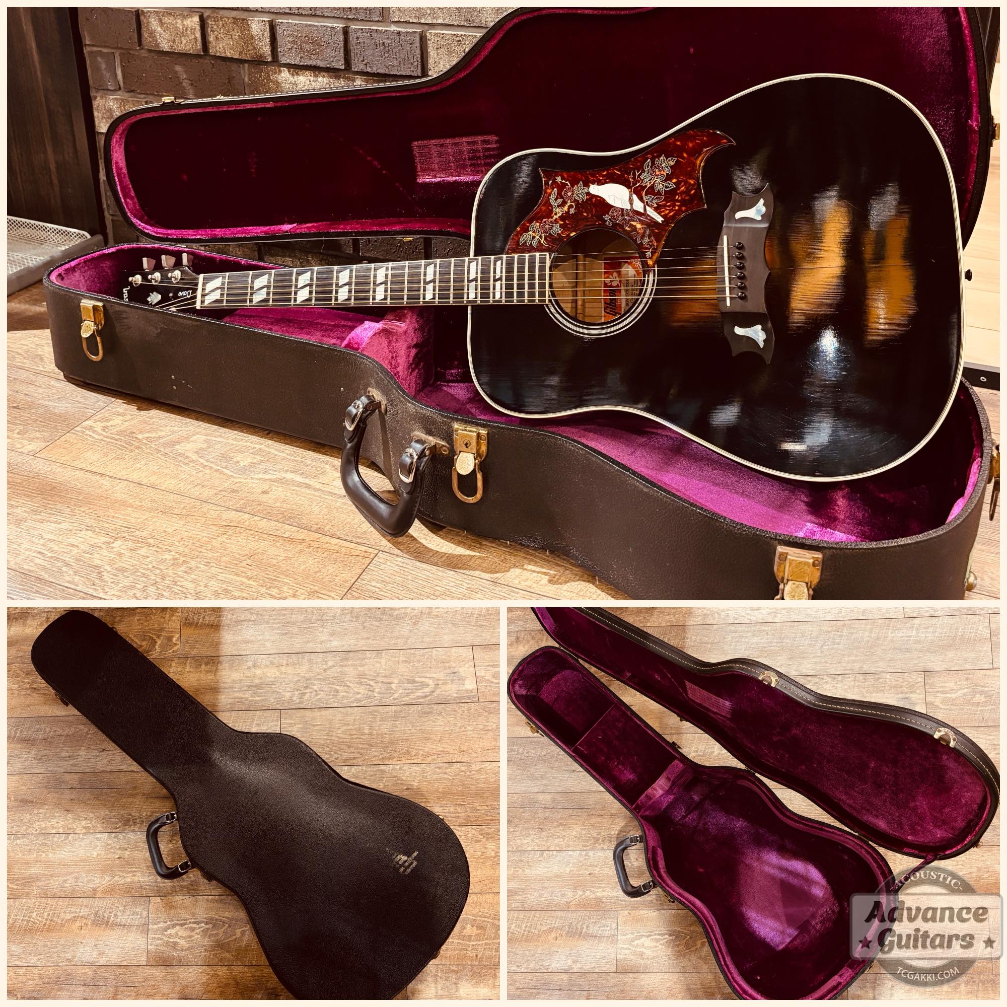 1974~1975年製 Dove Black - TC楽器 - TCGAKKI