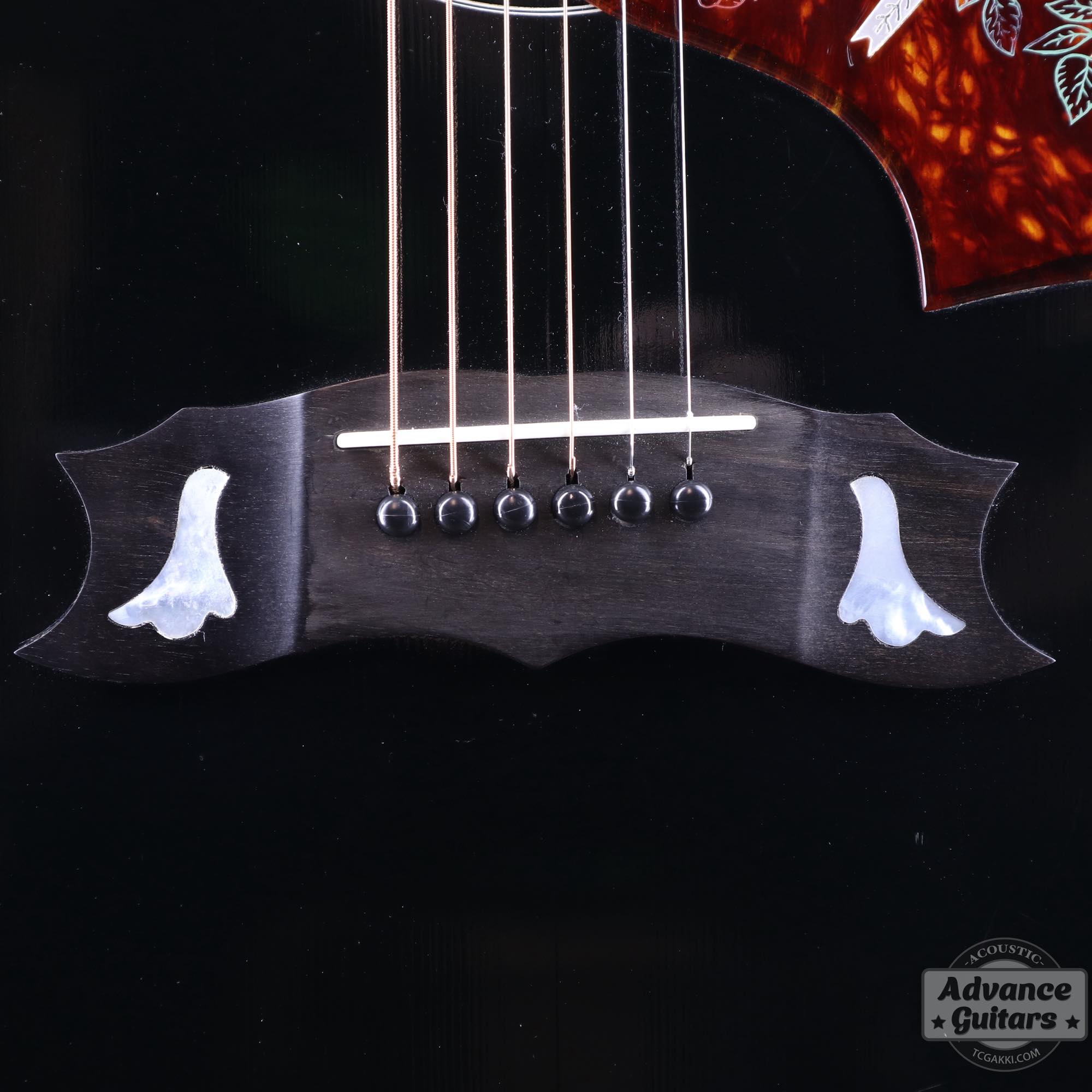 1974~1975年製 Dove Black - TC楽器 - TCGAKKI