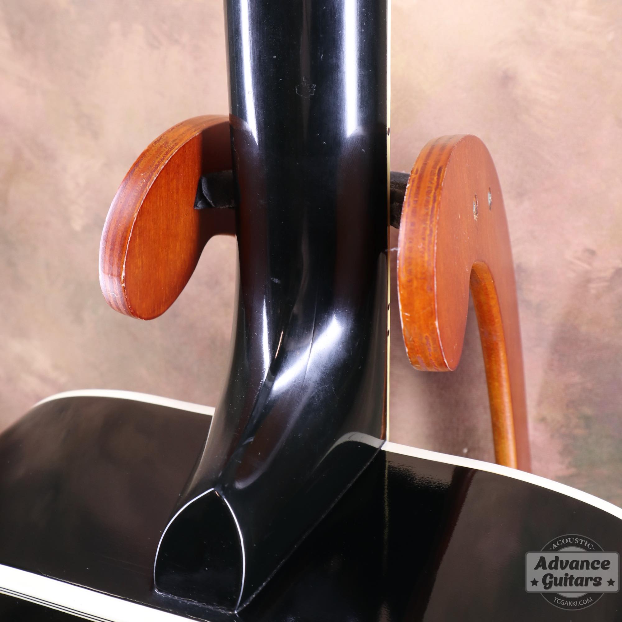 1974~1975年製 Dove Black - TC楽器 - TCGAKKI