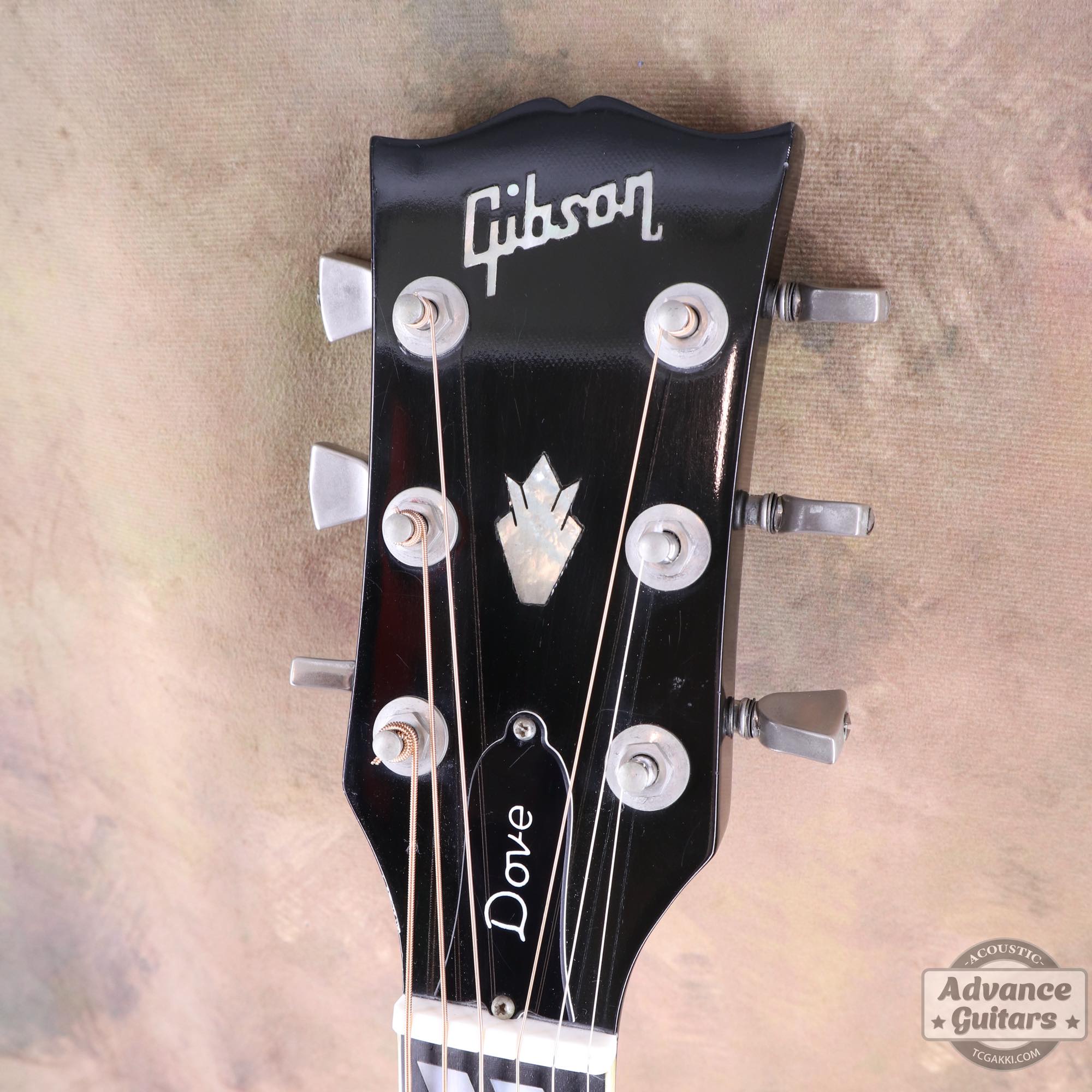 1974~1975年製 Dove Black - TC楽器 - TCGAKKI