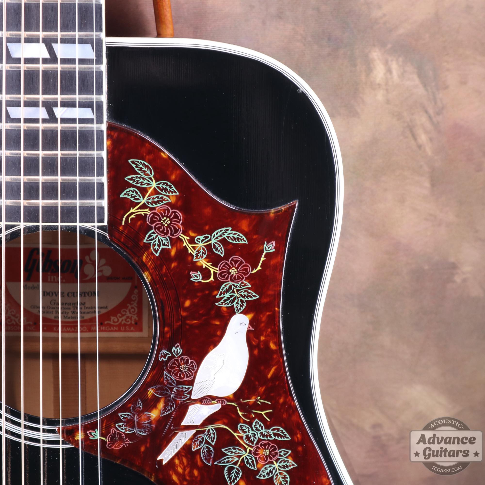 1974~1975年製 Dove Black - TC楽器 - TCGAKKI