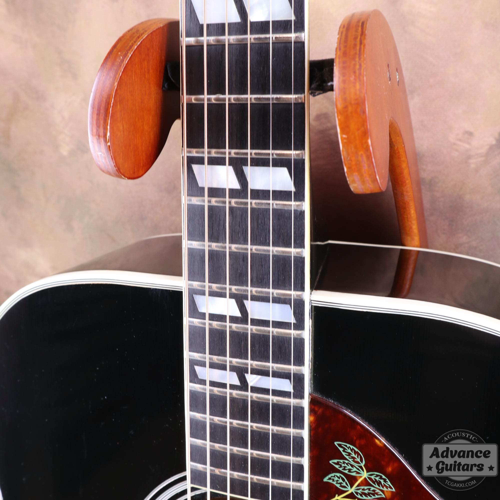 1974~1975年製 Dove Black - TC楽器 - TCGAKKI