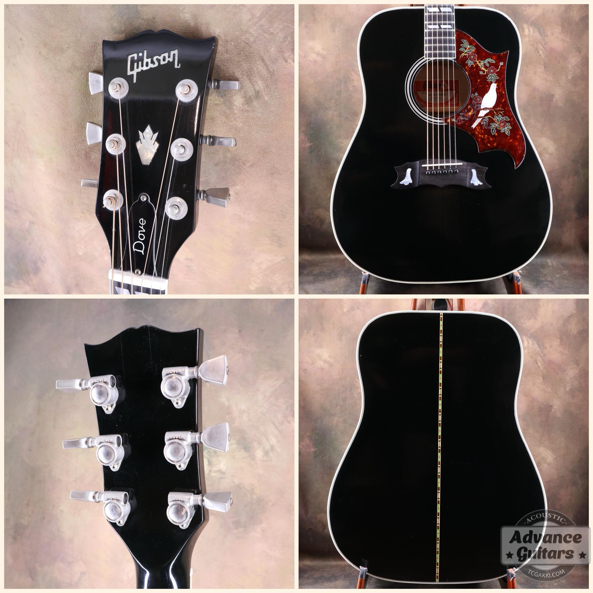 1974~1975年製 Dove Black - TC楽器 - TCGAKKI