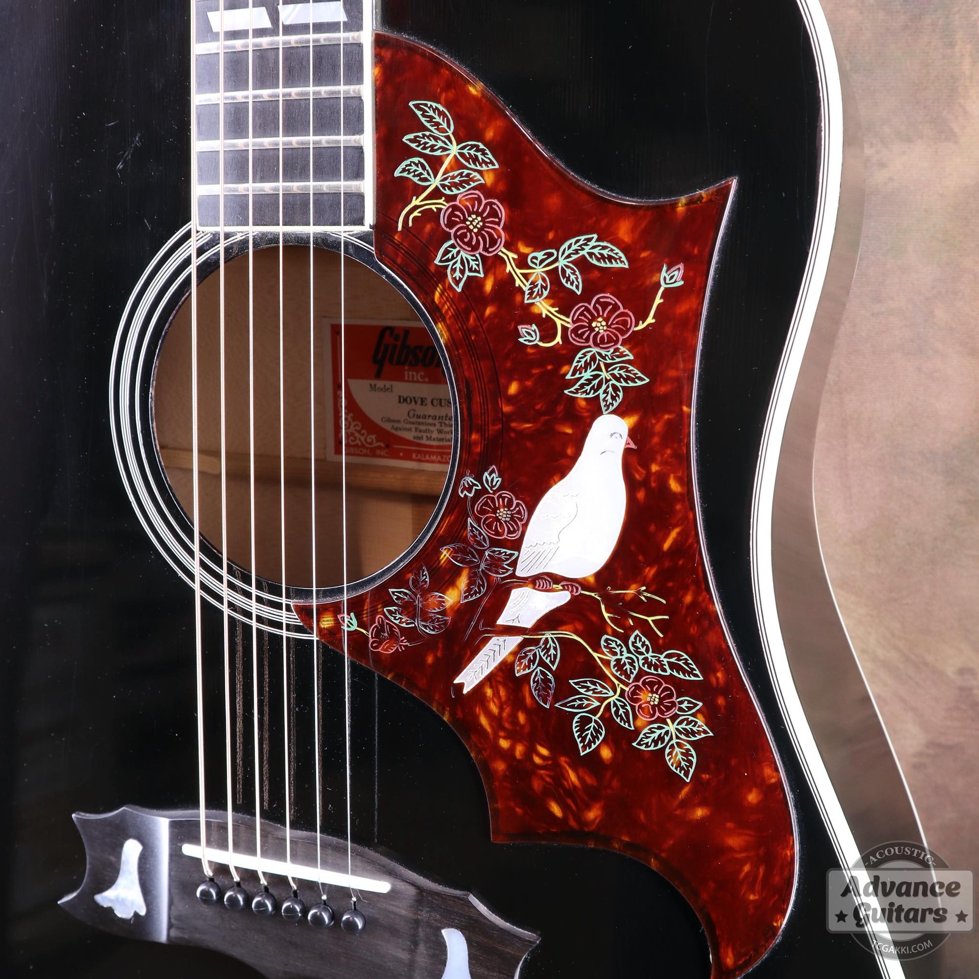 1974~1975年製 Dove Black - TC楽器 - TCGAKKI