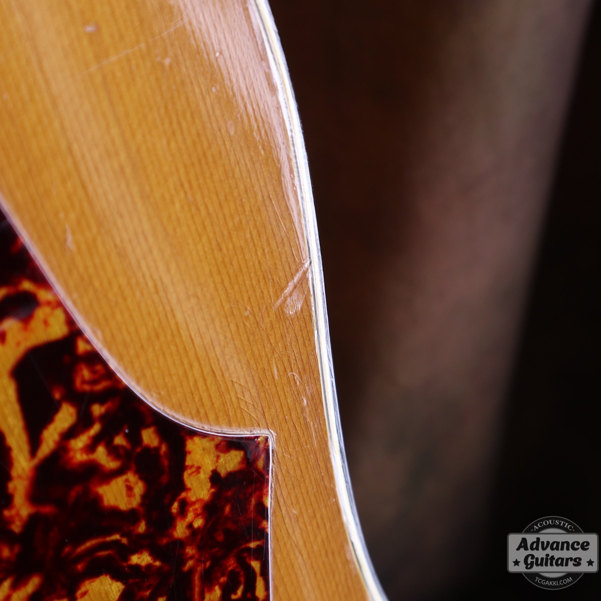 1974〜75年製 GOSPEL - TC楽器 - TCGAKKI