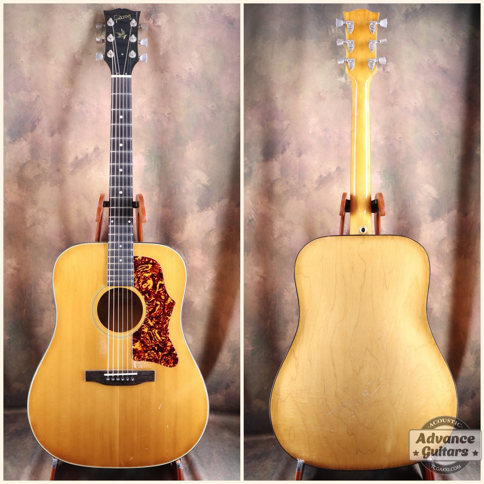 1974〜75年製 GOSPEL - TC楽器 - TCGAKKI