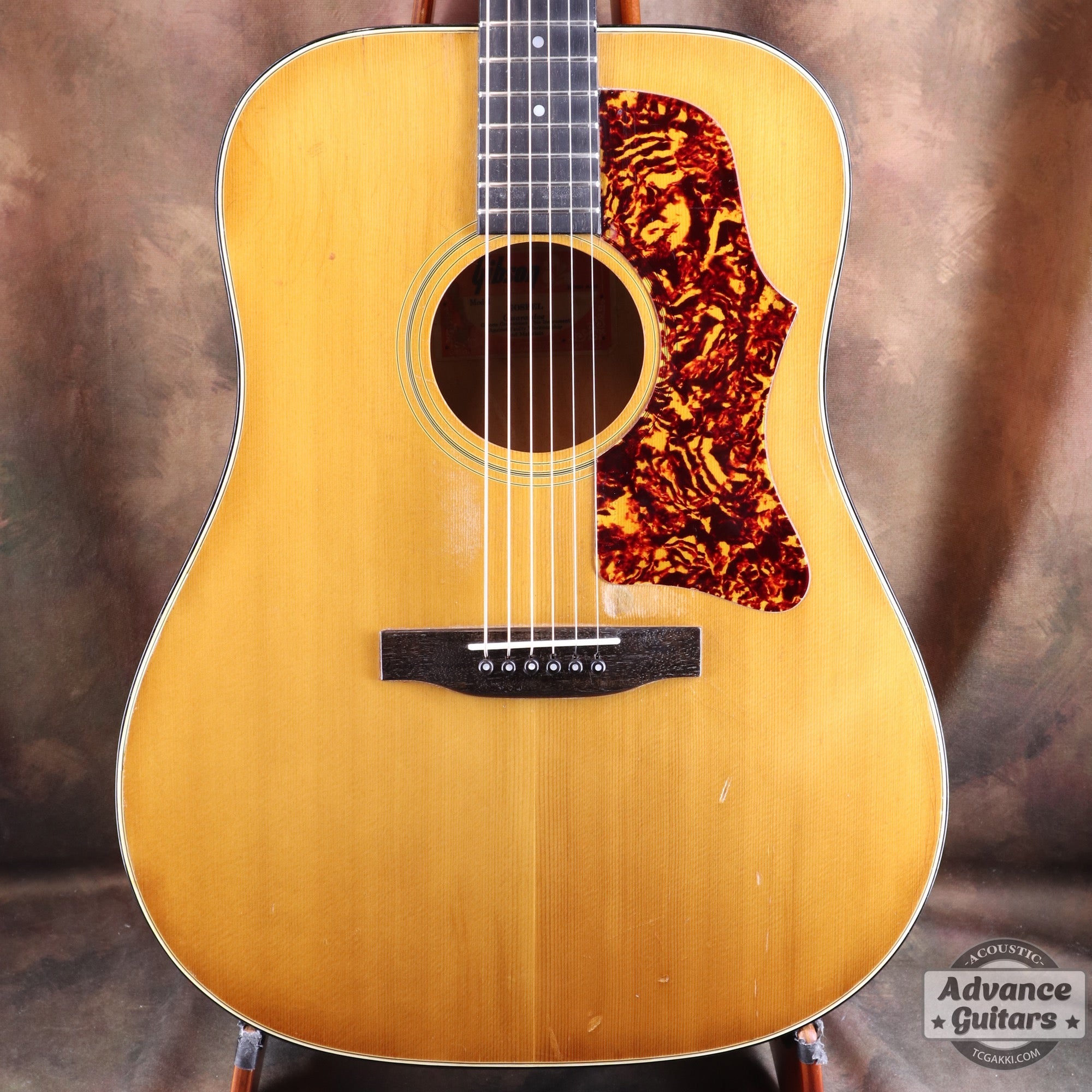 1974〜75年製 GOSPEL - TC楽器 - TCGAKKI