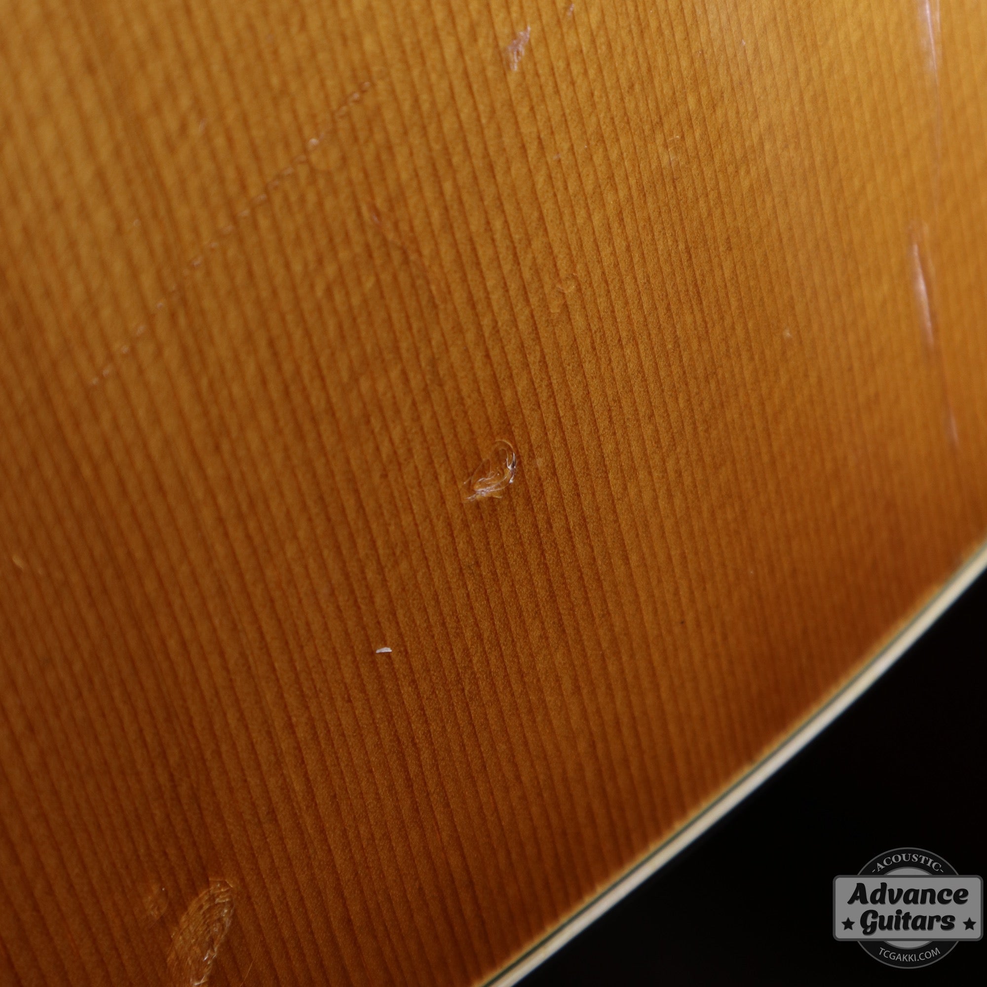 1974〜75年製 GOSPEL - TC楽器 - TCGAKKI