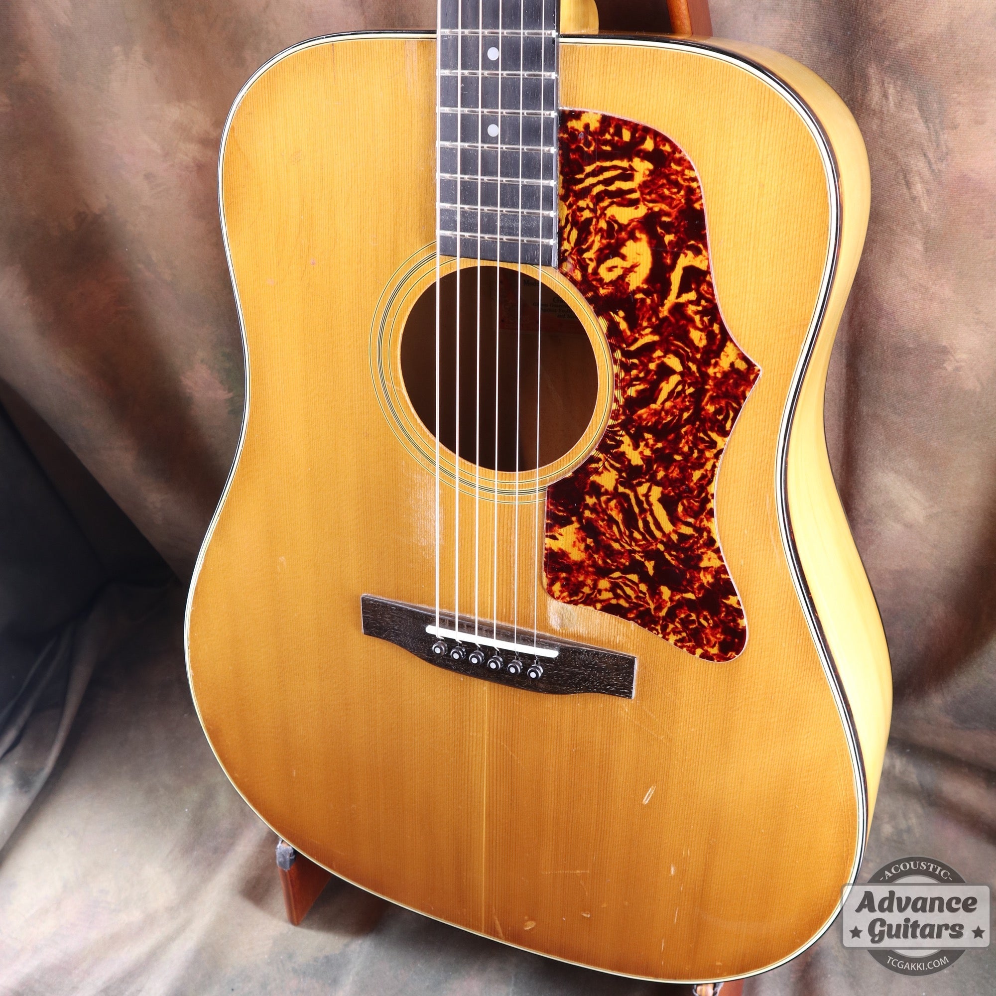 1974〜75年製 GOSPEL - TC楽器 - TCGAKKI