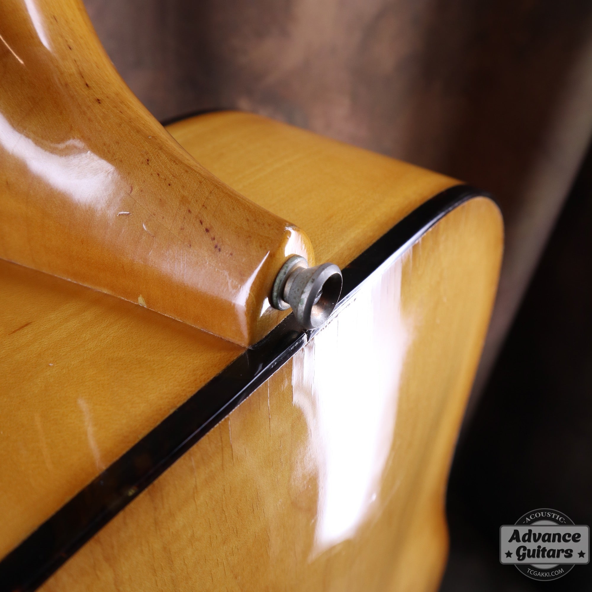 1974〜75年製 GOSPEL - TC楽器 - TCGAKKI