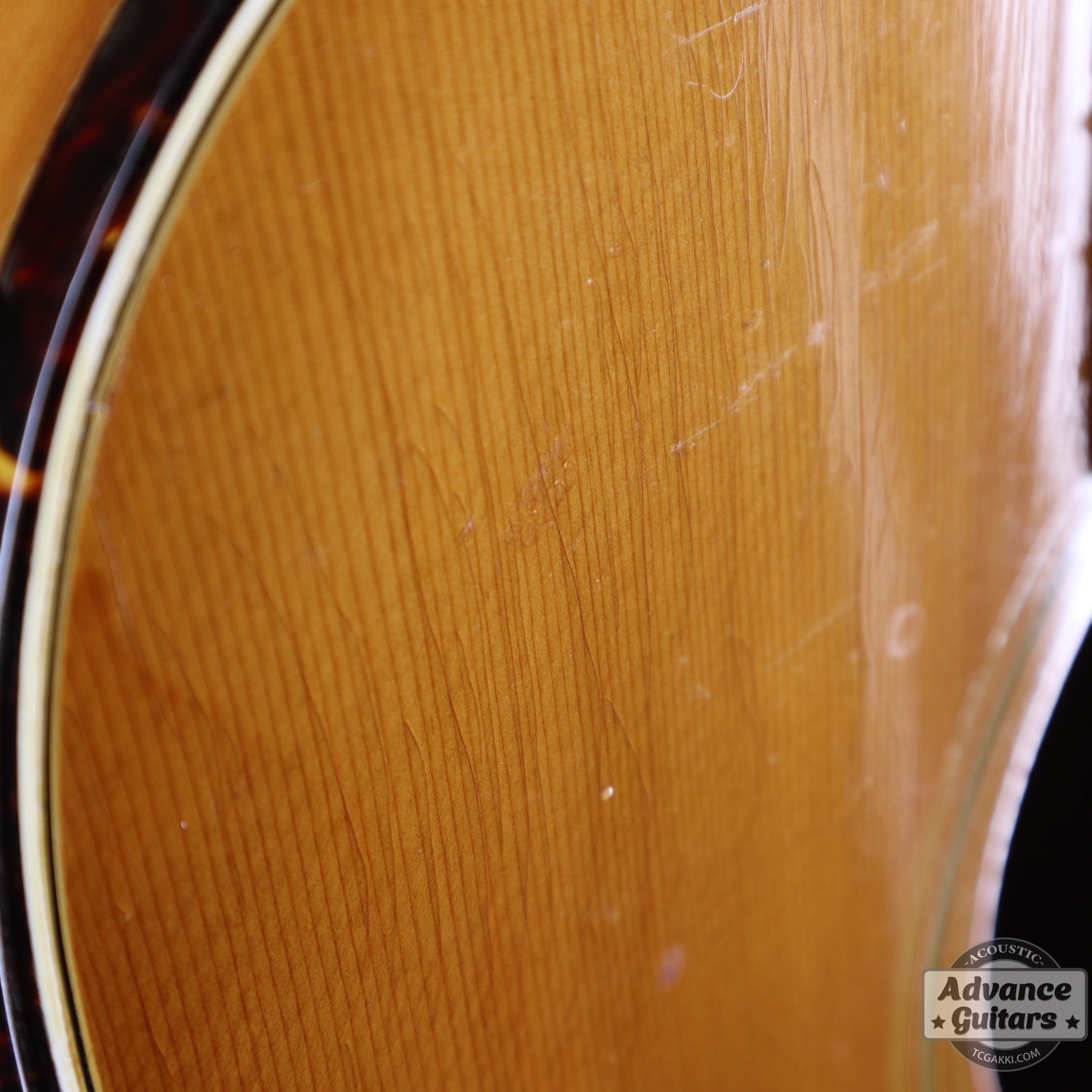 1974〜75年製 GOSPEL - TC楽器 - TCGAKKI