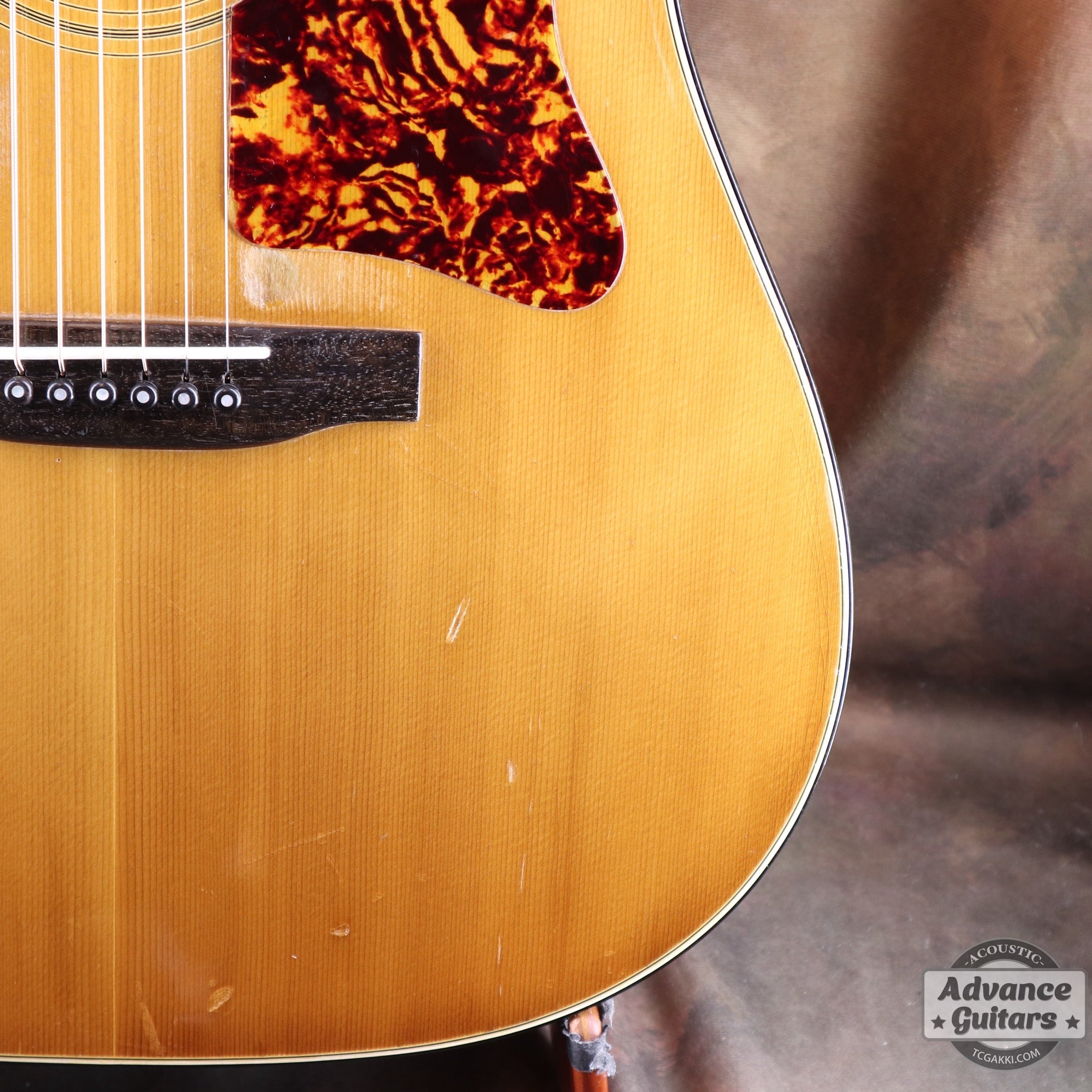 1974〜75年製 GOSPEL - TC楽器 - TCGAKKI