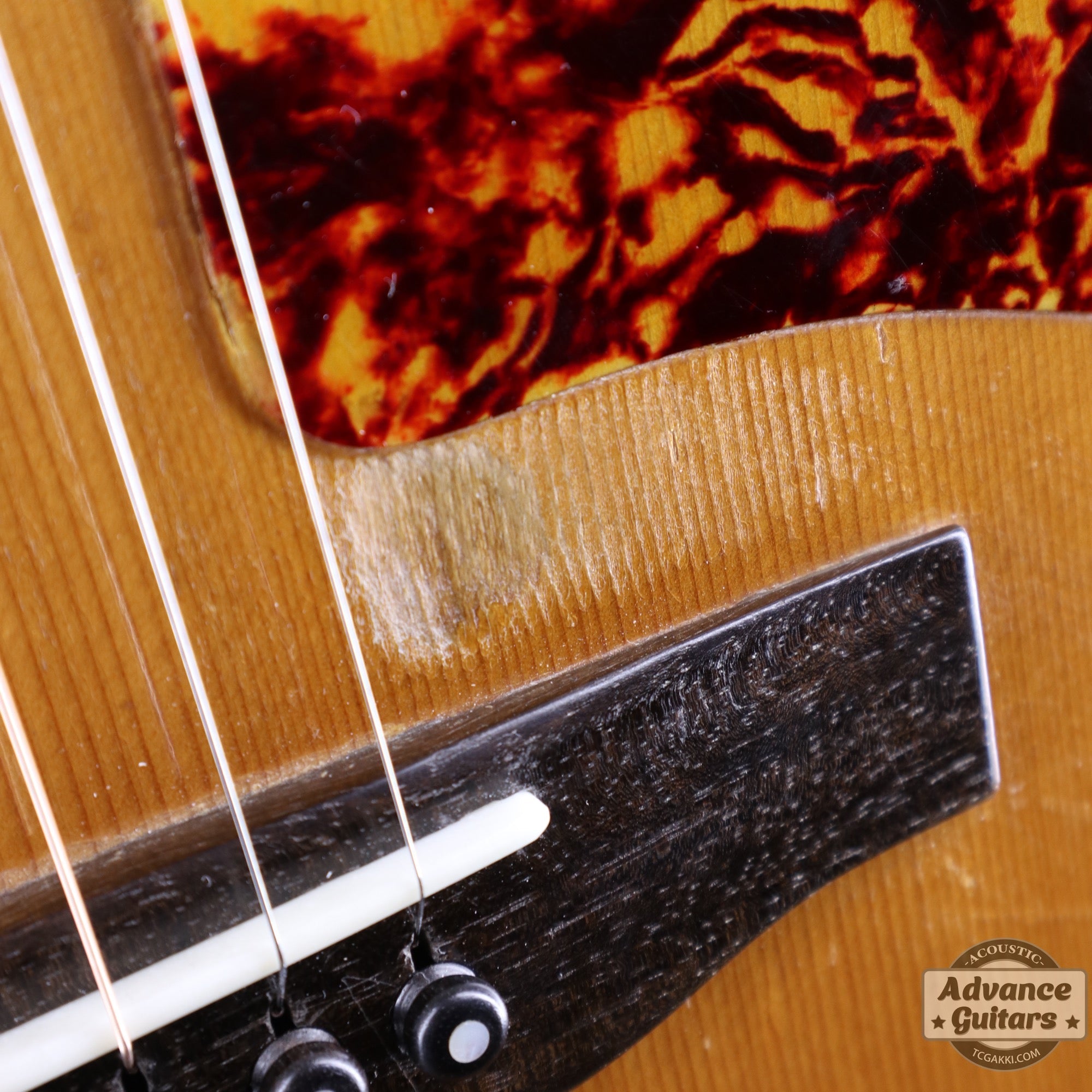 1974〜75年製 GOSPEL - TC楽器 - TCGAKKI