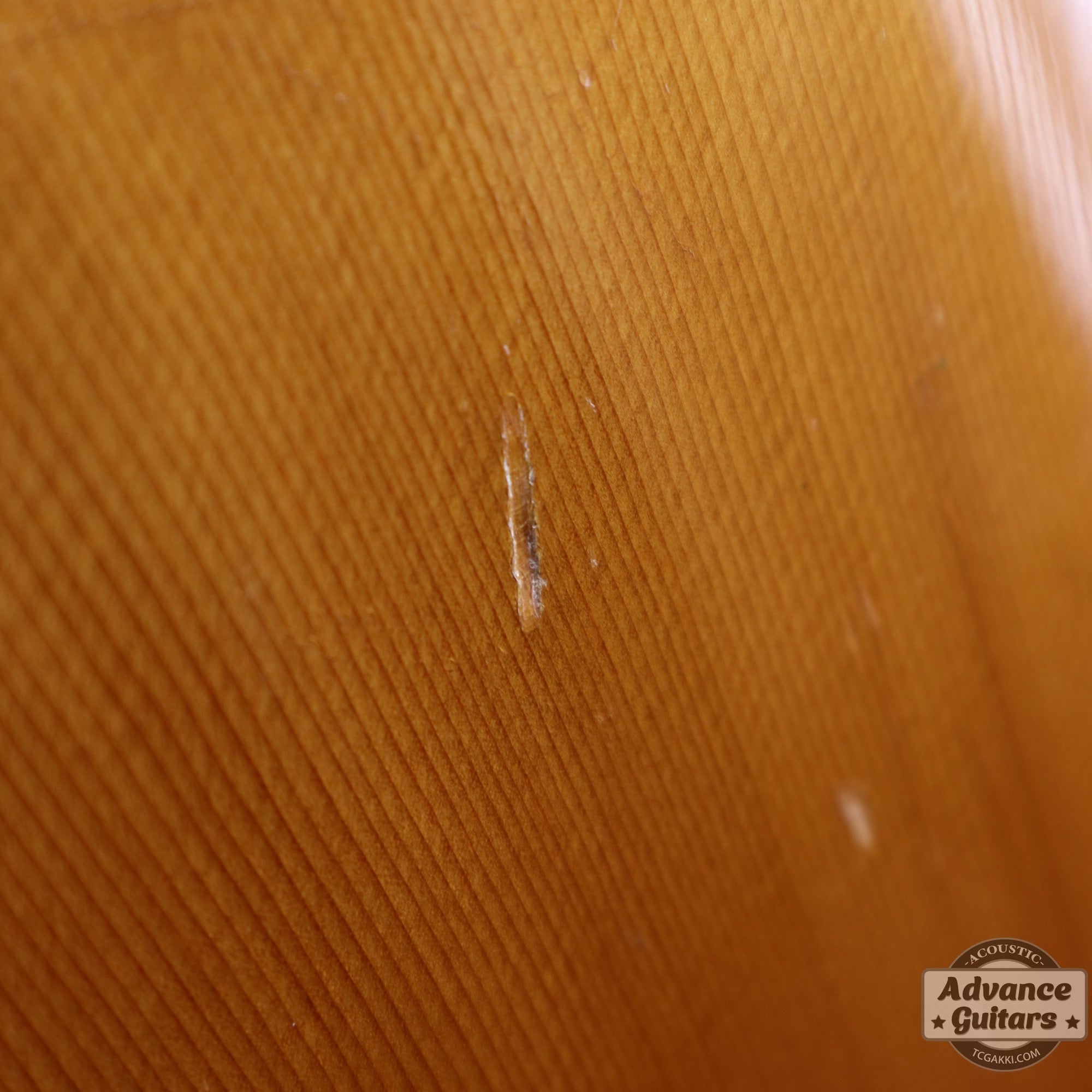 1974〜75年製 GOSPEL - TC楽器 - TCGAKKI