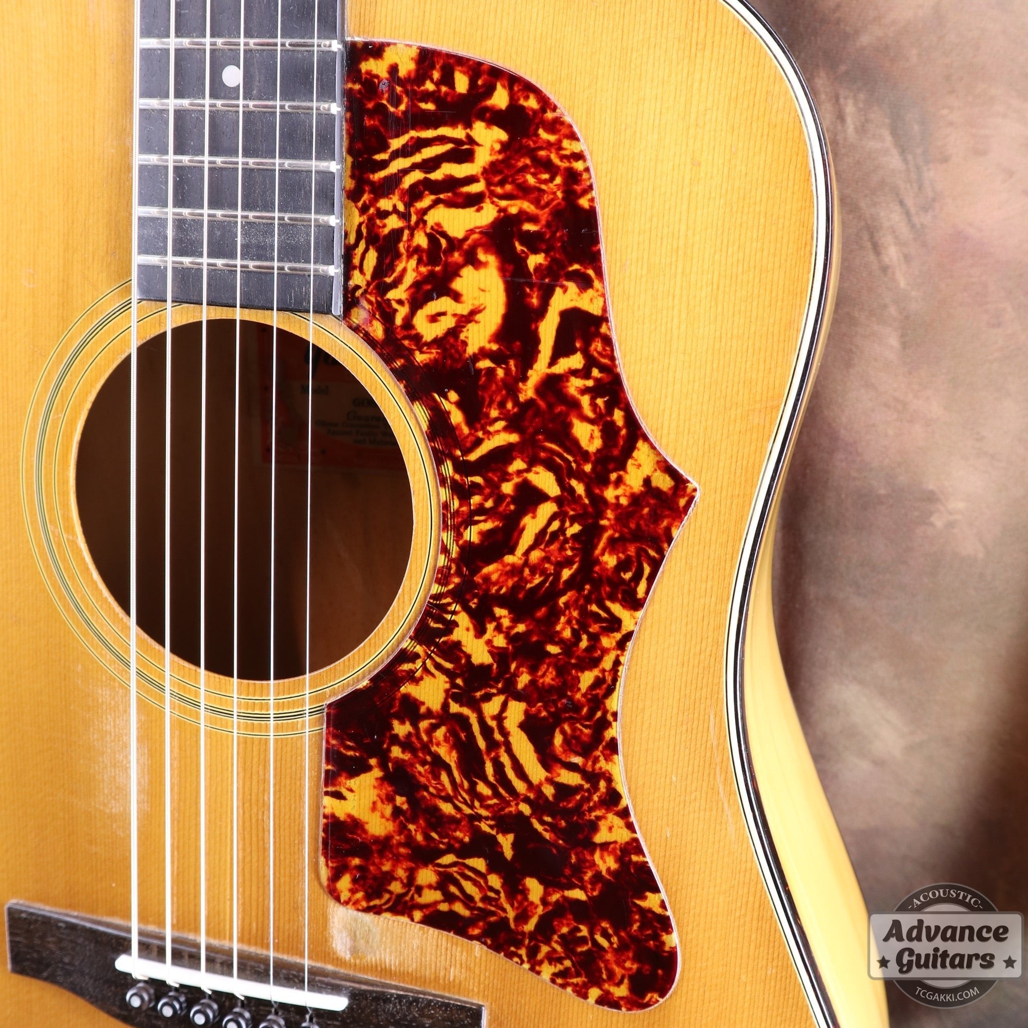 1974〜75年製 GOSPEL - TC楽器 - TCGAKKI