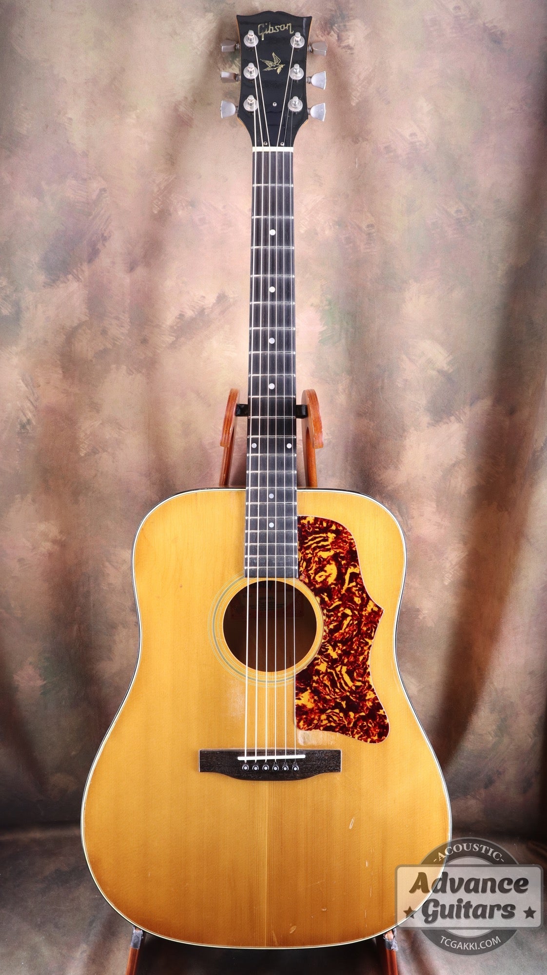 1974〜75年製 GOSPEL - TC楽器 - TCGAKKI