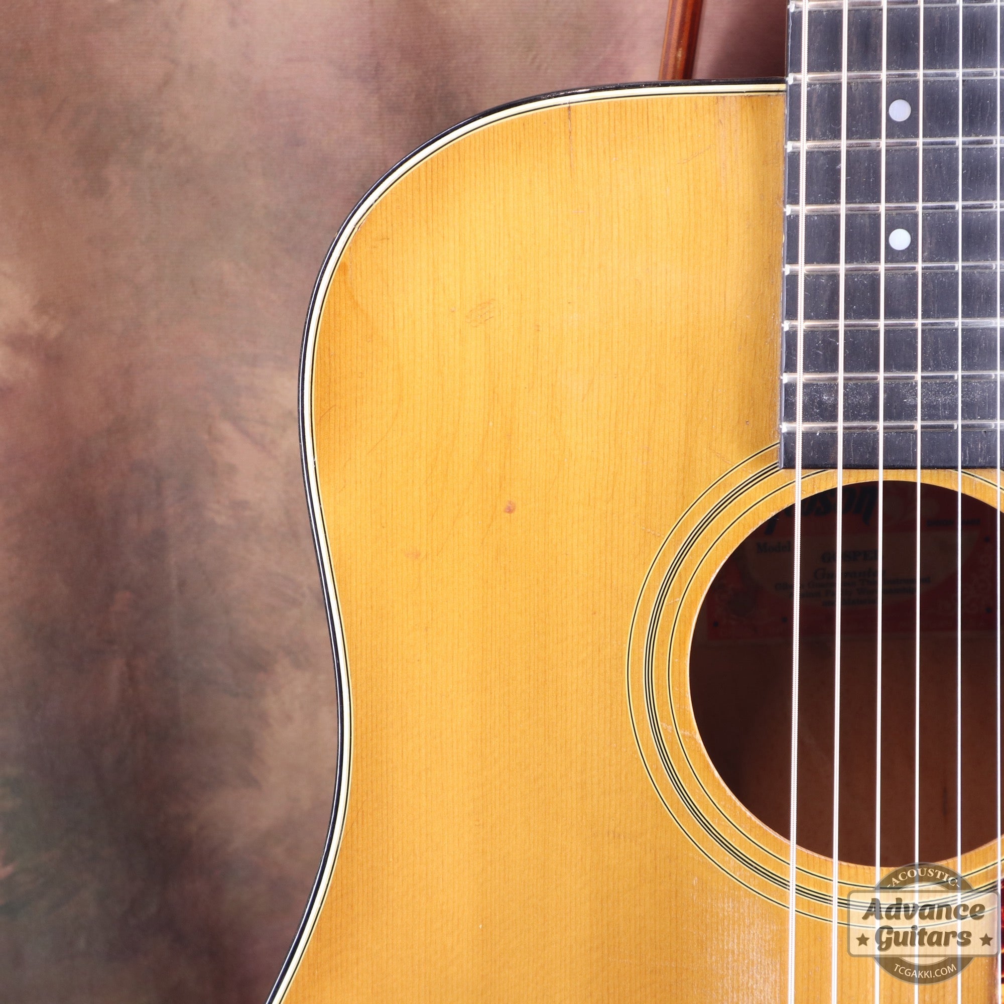 1974〜75年製 GOSPEL - TC楽器 - TCGAKKI