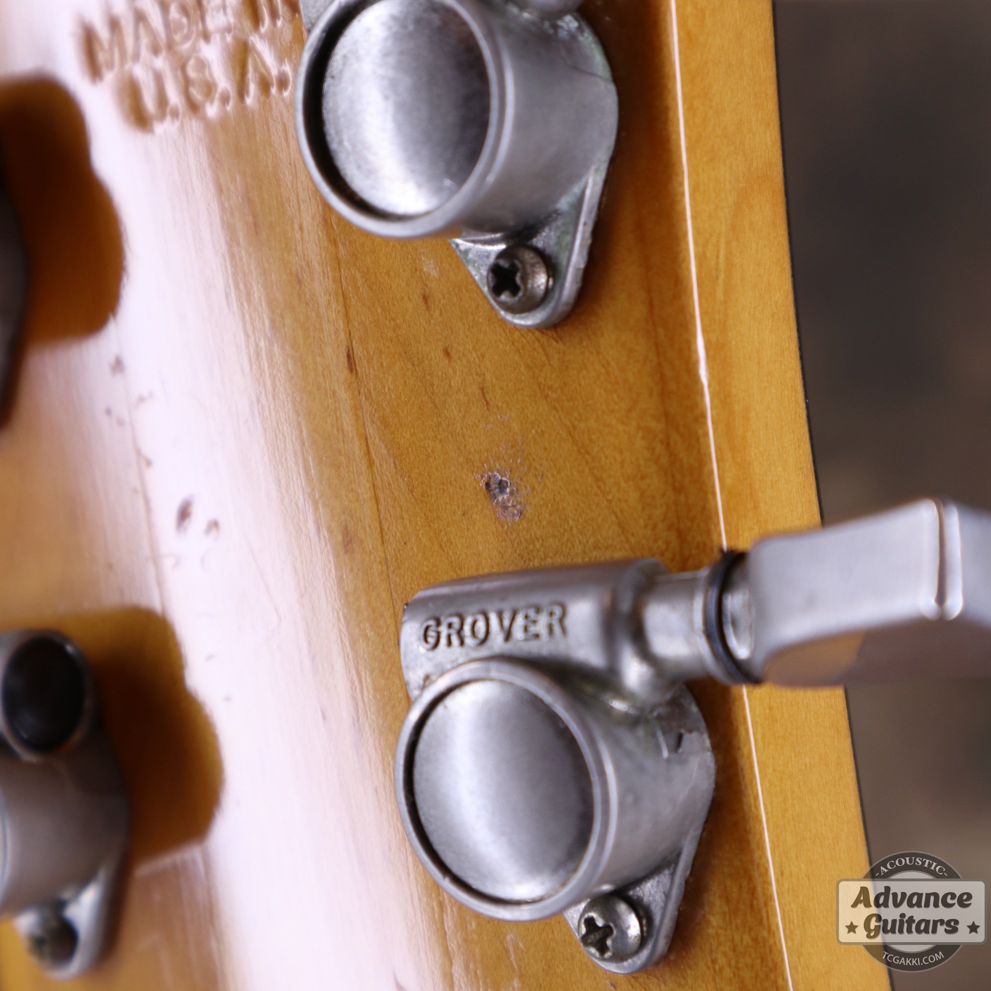 1974〜75年製 GOSPEL - TC楽器 - TCGAKKI