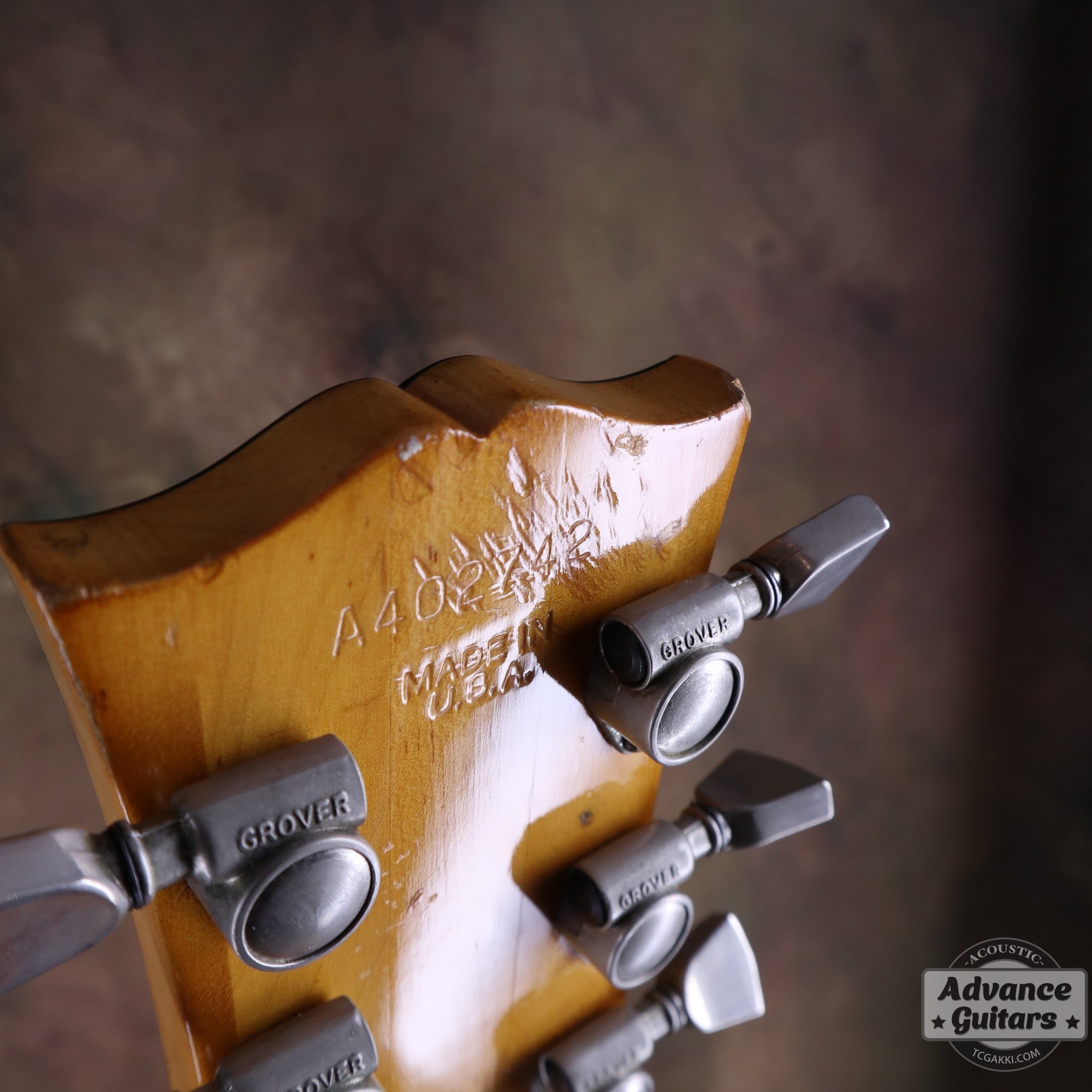 1974〜75年製 GOSPEL - TC楽器 - TCGAKKI