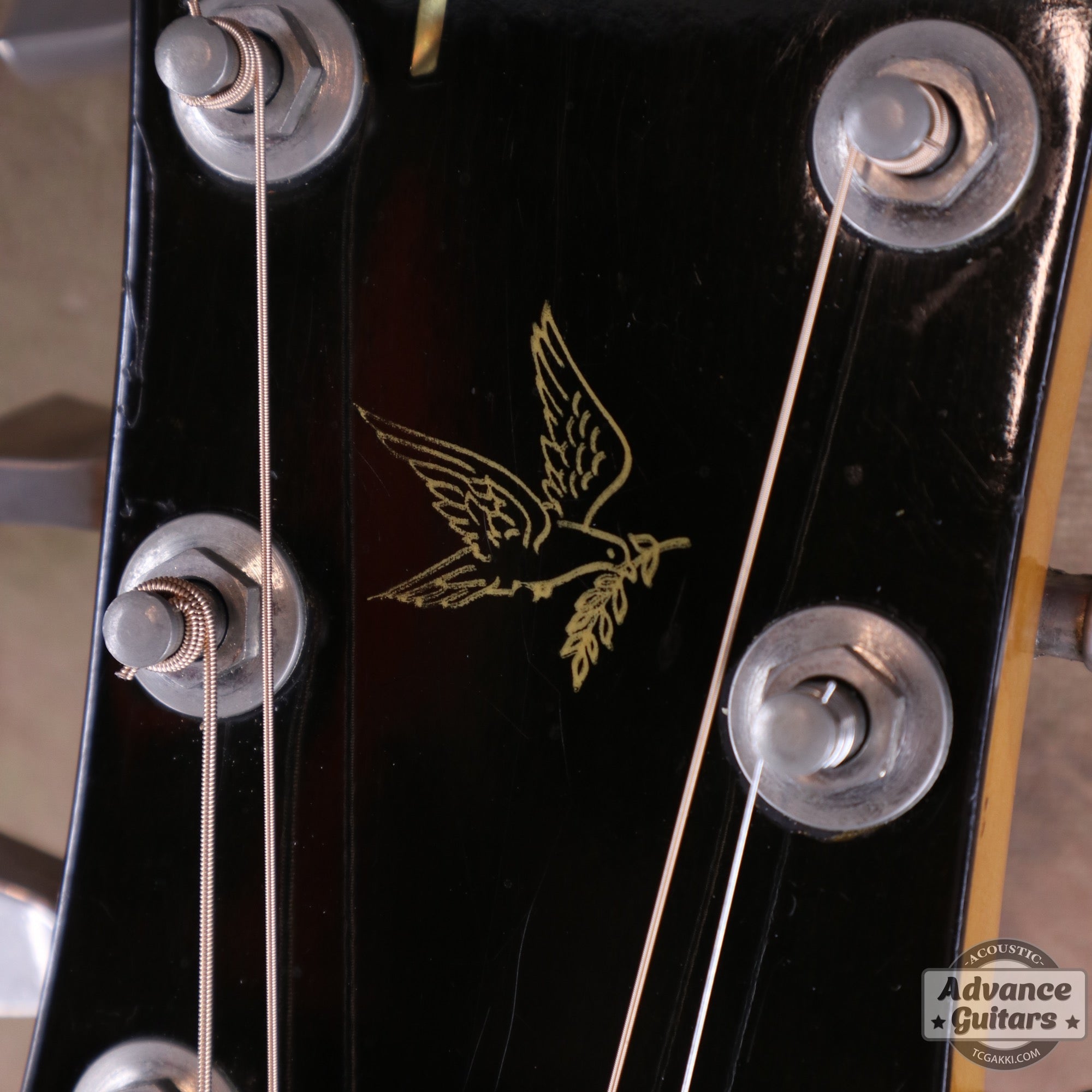 1974〜75年製 GOSPEL - TC楽器 - TCGAKKI