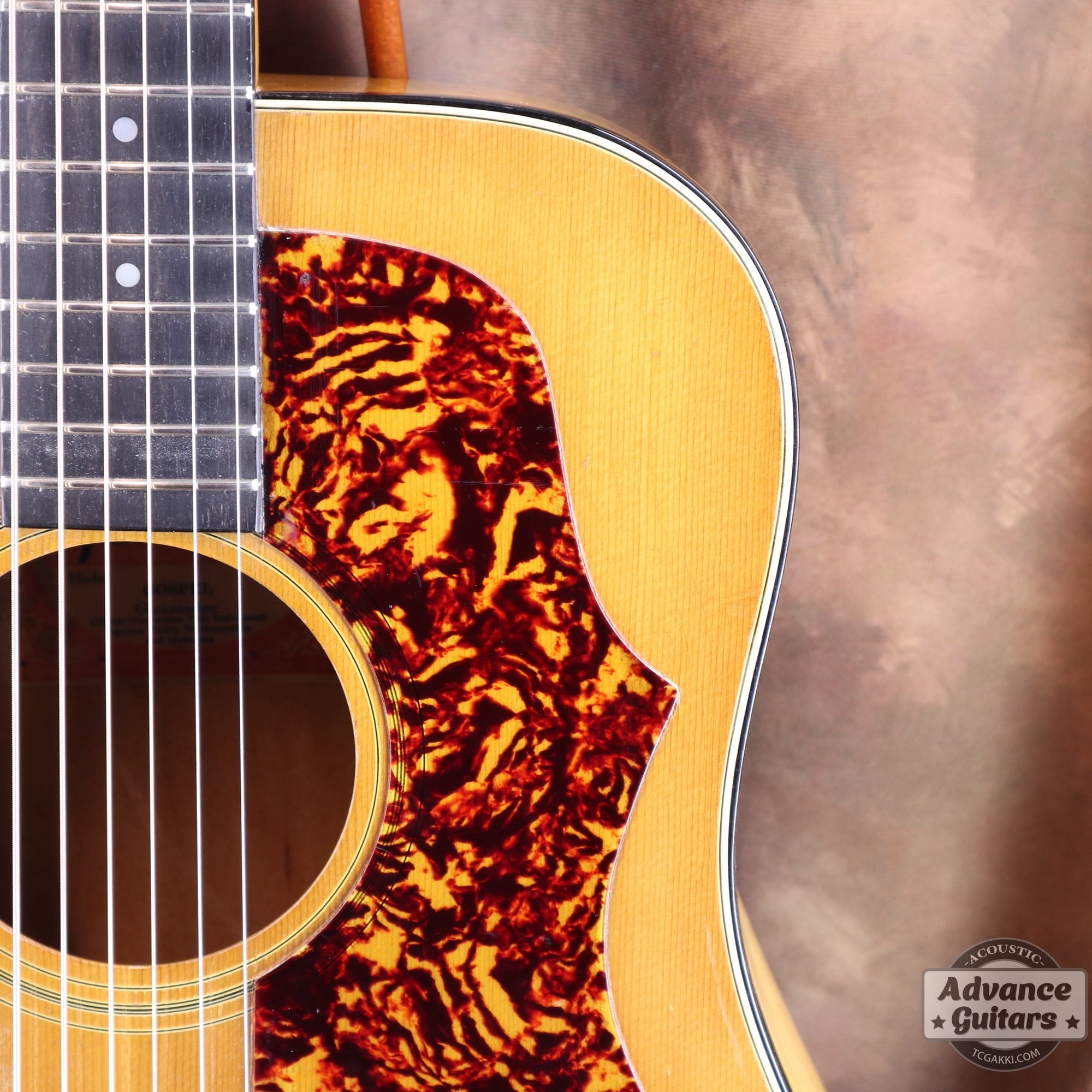 1974〜75年製 GOSPEL - TC楽器 - TCGAKKI