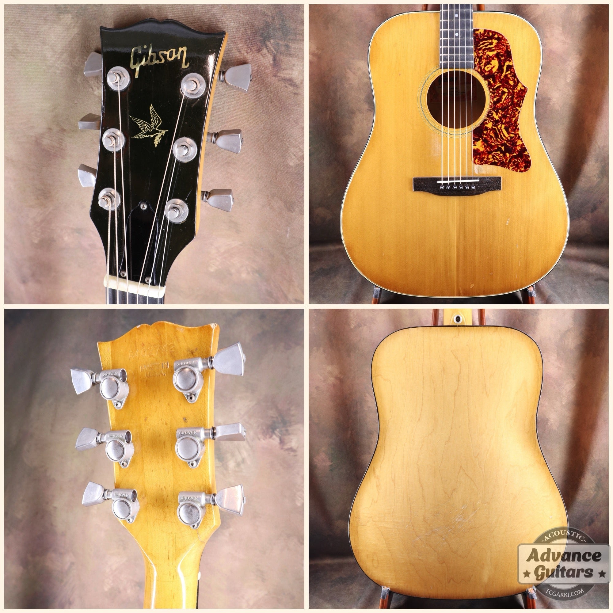 1974〜75年製 GOSPEL - TC楽器 - TCGAKKI