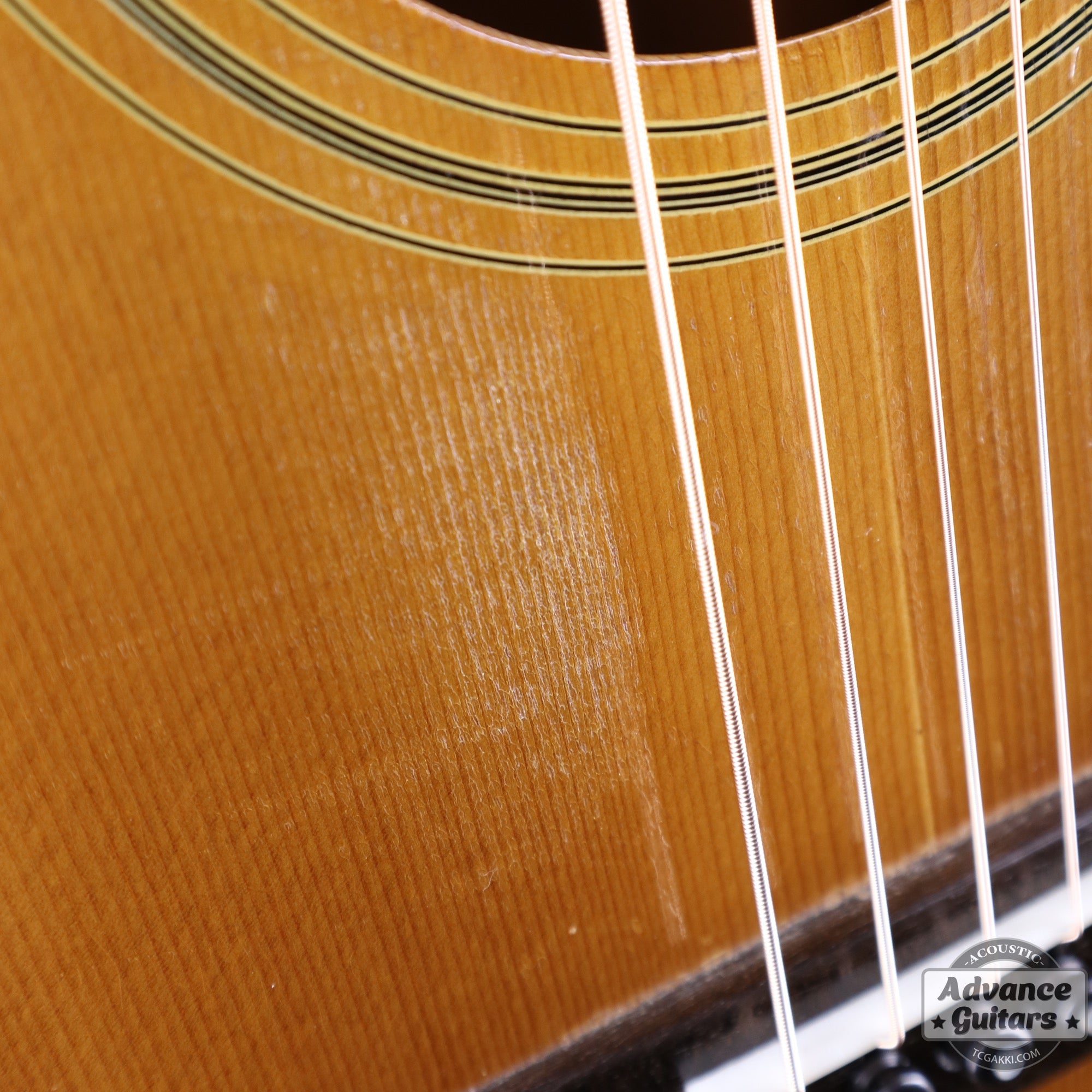 1974〜75年製 GOSPEL - TC楽器 - TCGAKKI