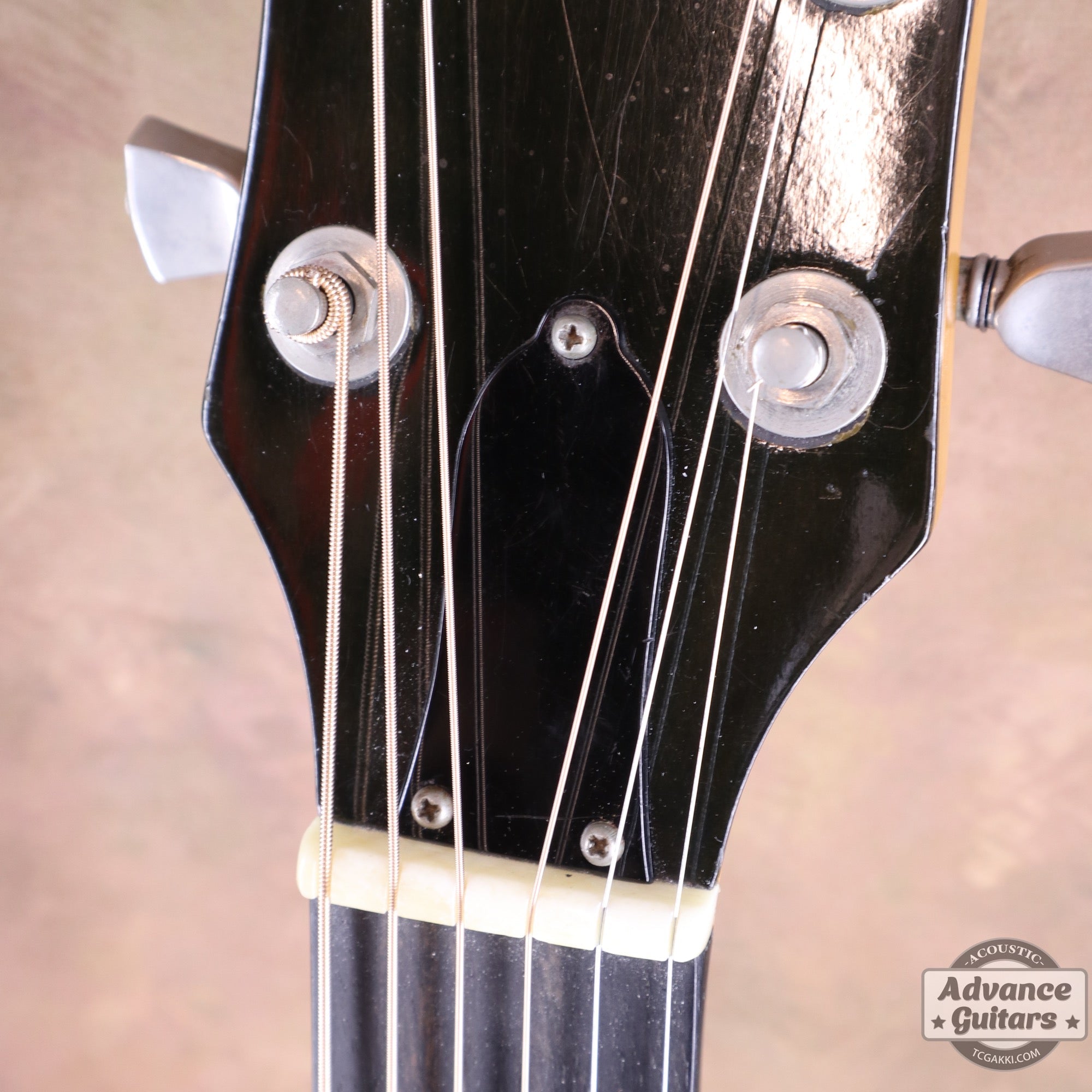 1974〜75年製 GOSPEL - TC楽器 - TCGAKKI