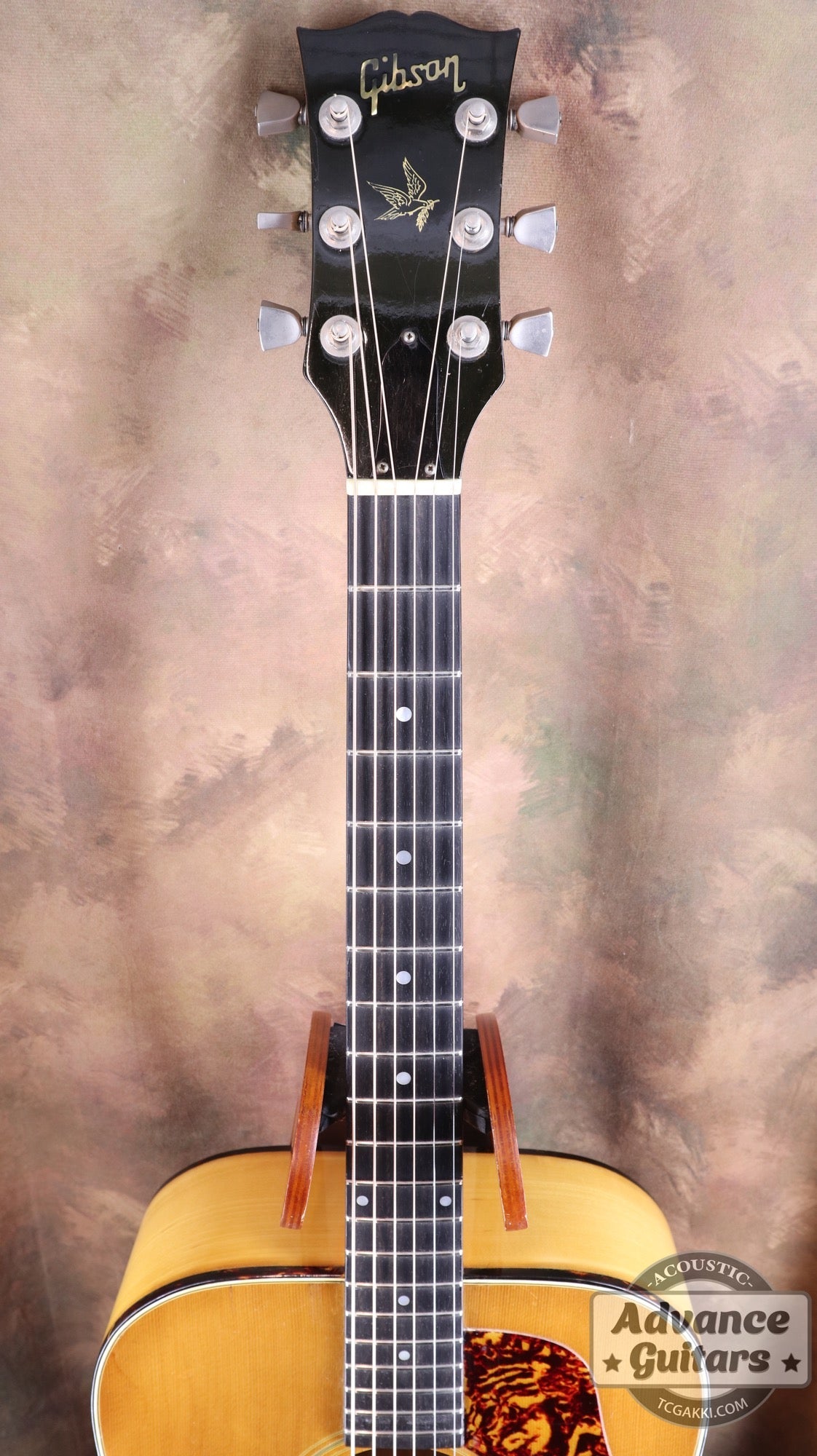 1974〜75年製 GOSPEL - TC楽器 - TCGAKKI