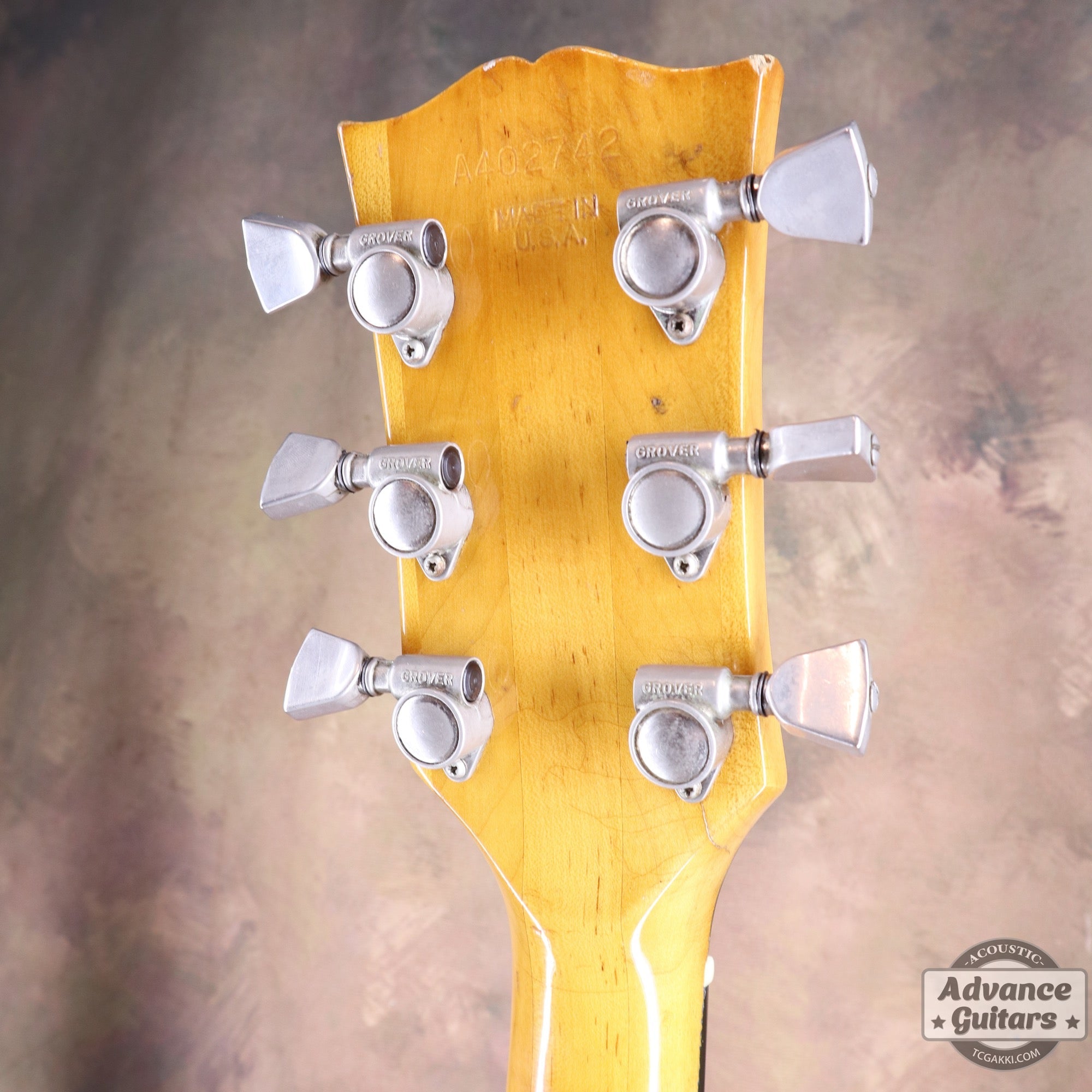 1974〜75年製 GOSPEL - TC楽器 - TCGAKKI