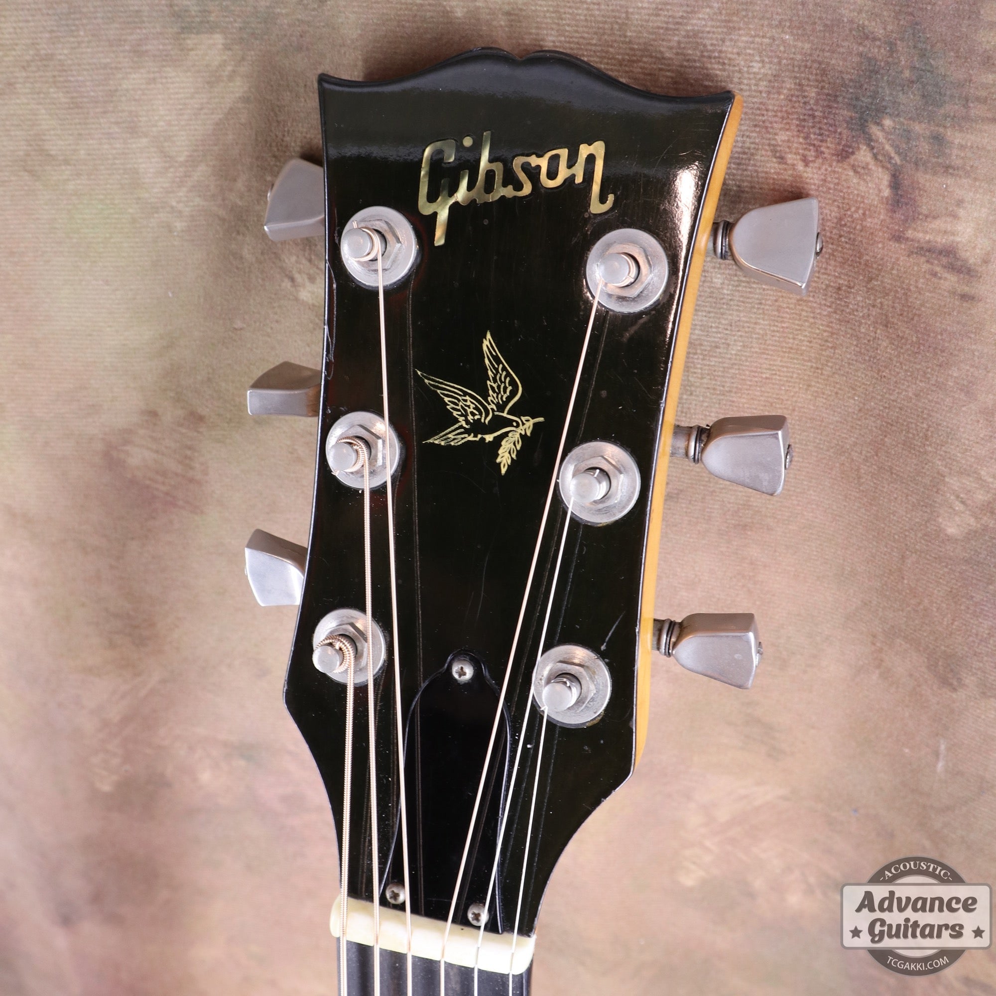 1974〜75年製 GOSPEL - TC楽器 - TCGAKKI