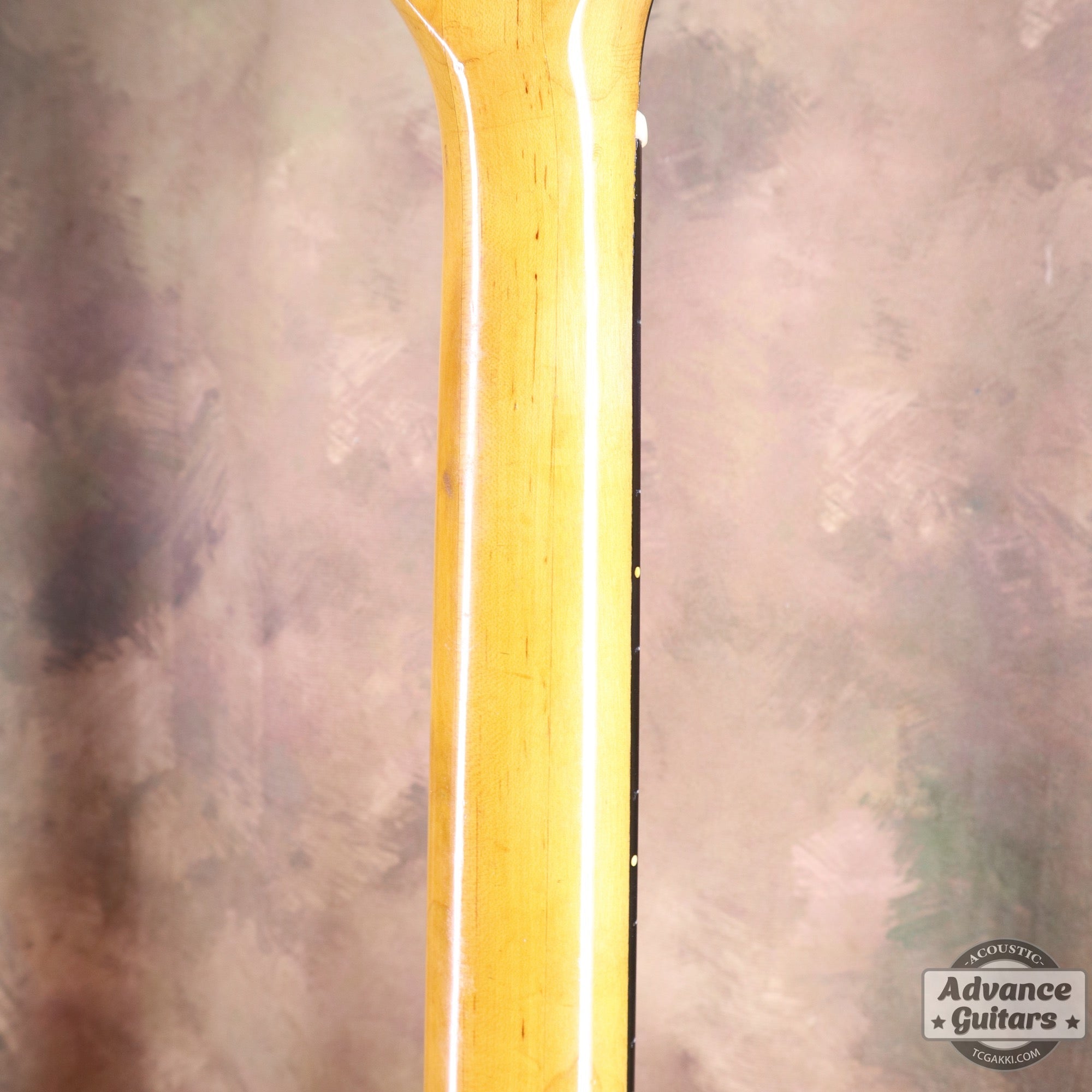 1974〜75年製 GOSPEL - TC楽器 - TCGAKKI