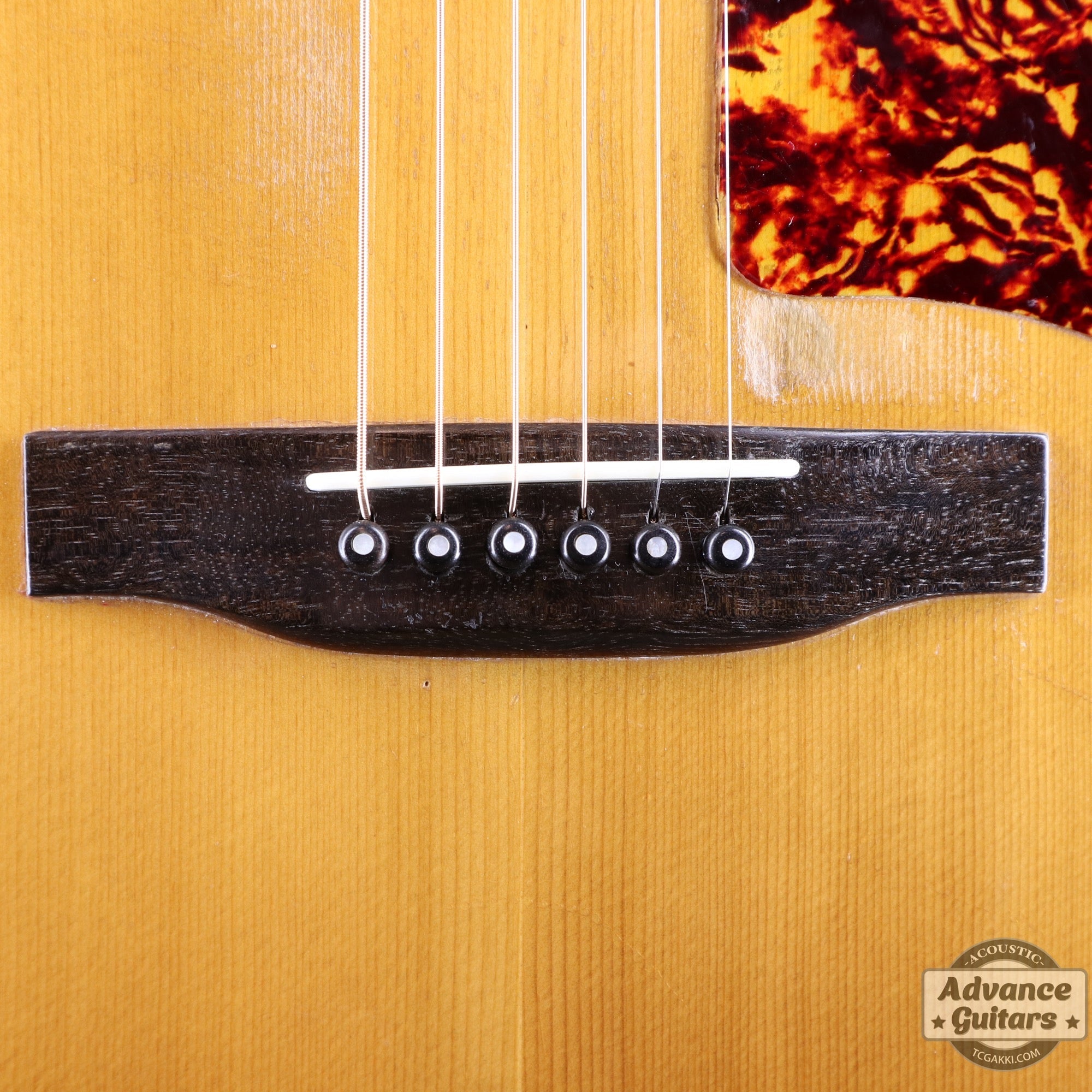 1974〜75年製 GOSPEL - TC楽器 - TCGAKKI