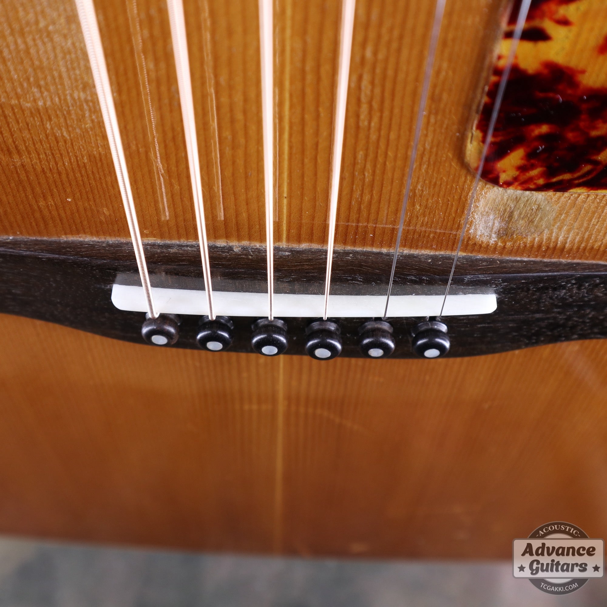 1974〜75年製 GOSPEL - TC楽器 - TCGAKKI